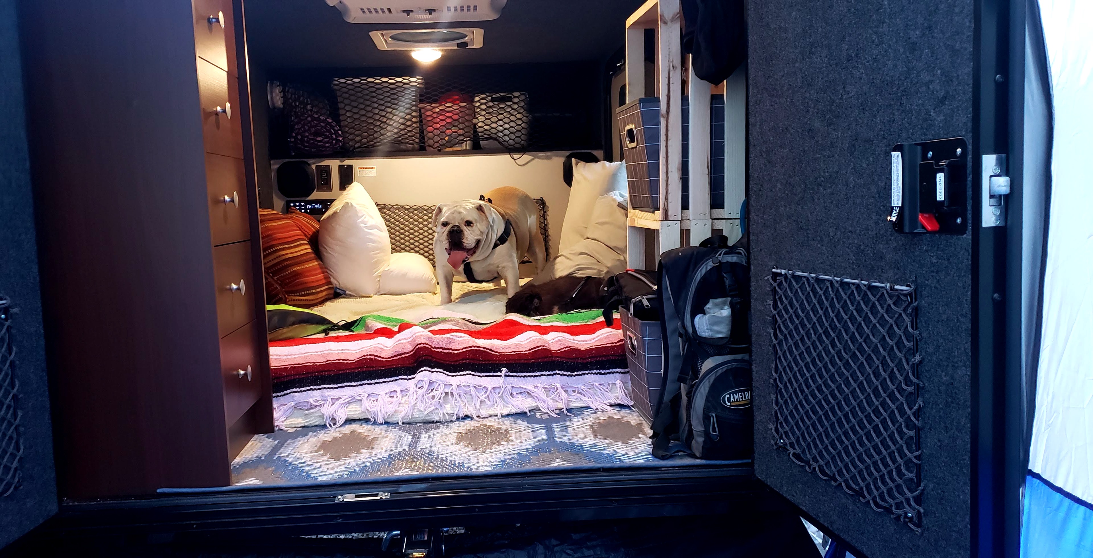 Cozy RV rental camper interior: a happy bulldog and a small dog on the bed, with ample storage.. InTech RV InTech RV Trailer 2020