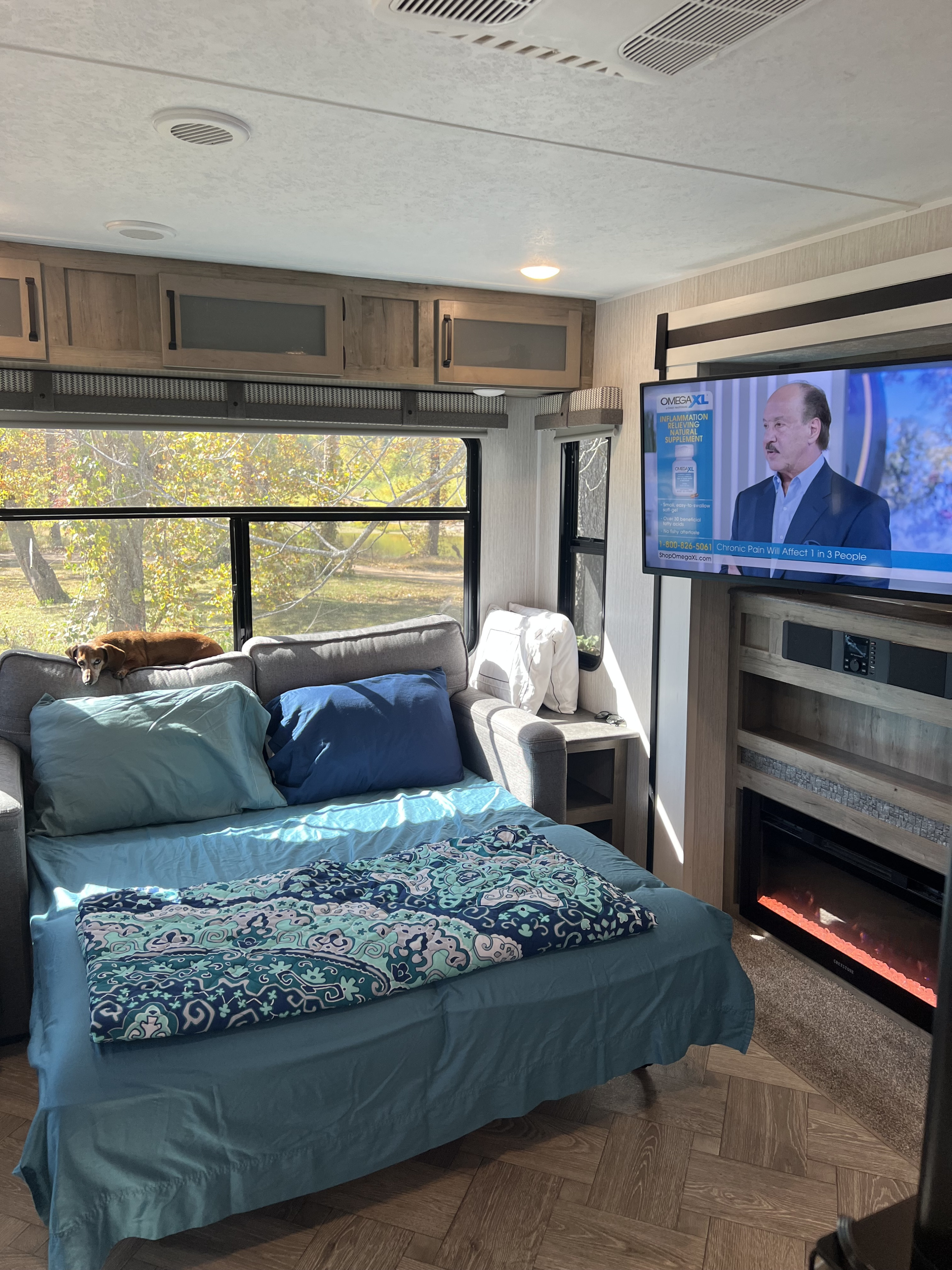 Cozy RV rental living space with a pull-out bed, a dog napping by the window, and a TV showing a commercial, offering a bright nature view.. Palomino Puma 2021