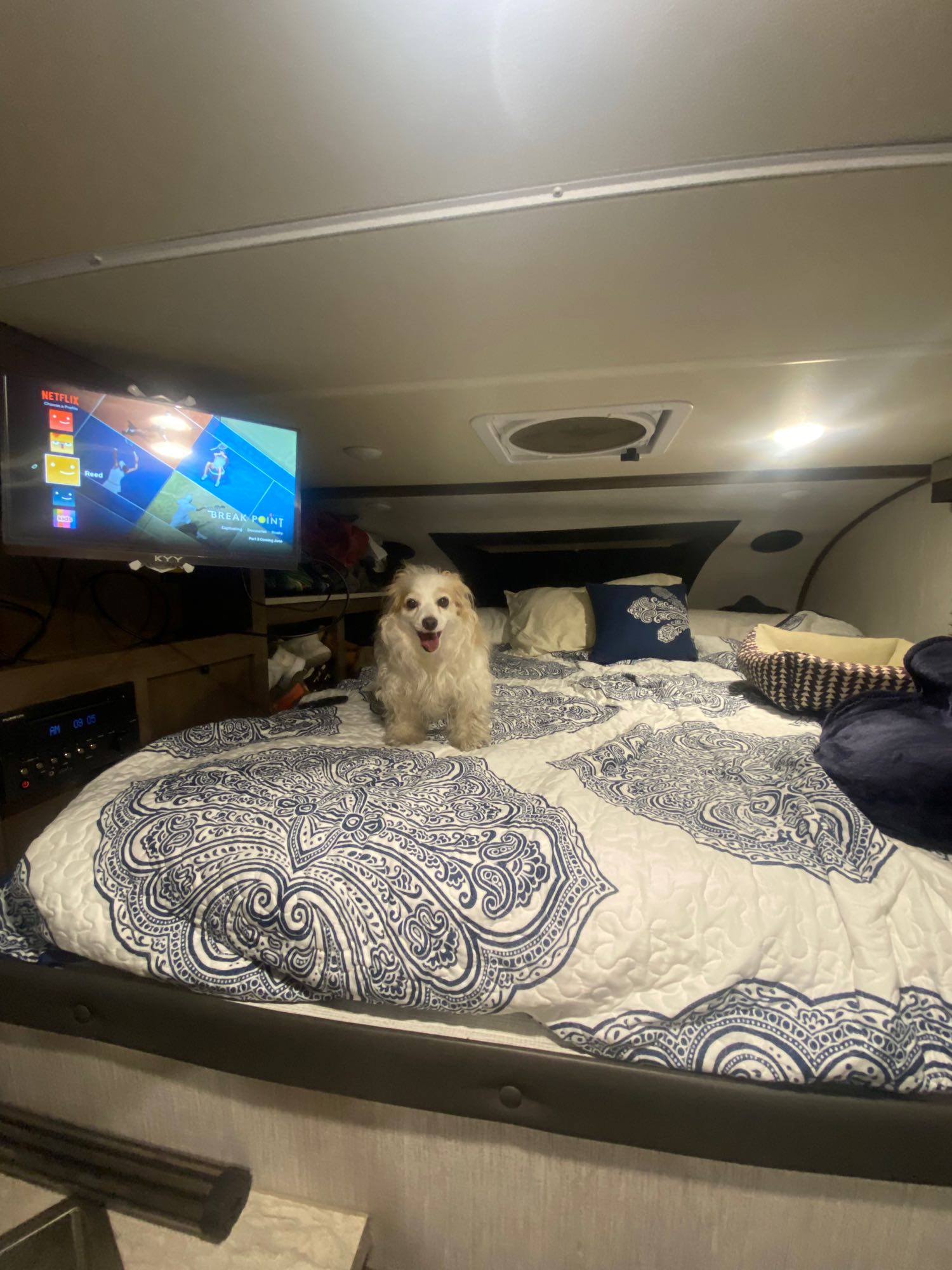 Large than expected sleeping area with wide queen and entertainment center. 4 usb charging ports, window and 12 inch fan with 4 speeds. Palomino Backpack Edition 2021