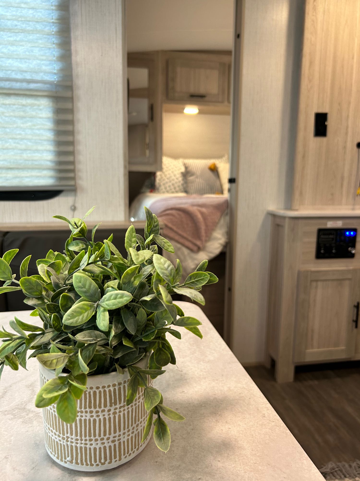 A decorative plant on a counter in a bright RV rental, leading to a bedroom with a pink blanket, highlighting modern comfort.. Cruiser RV Shadow Cruiser 2022