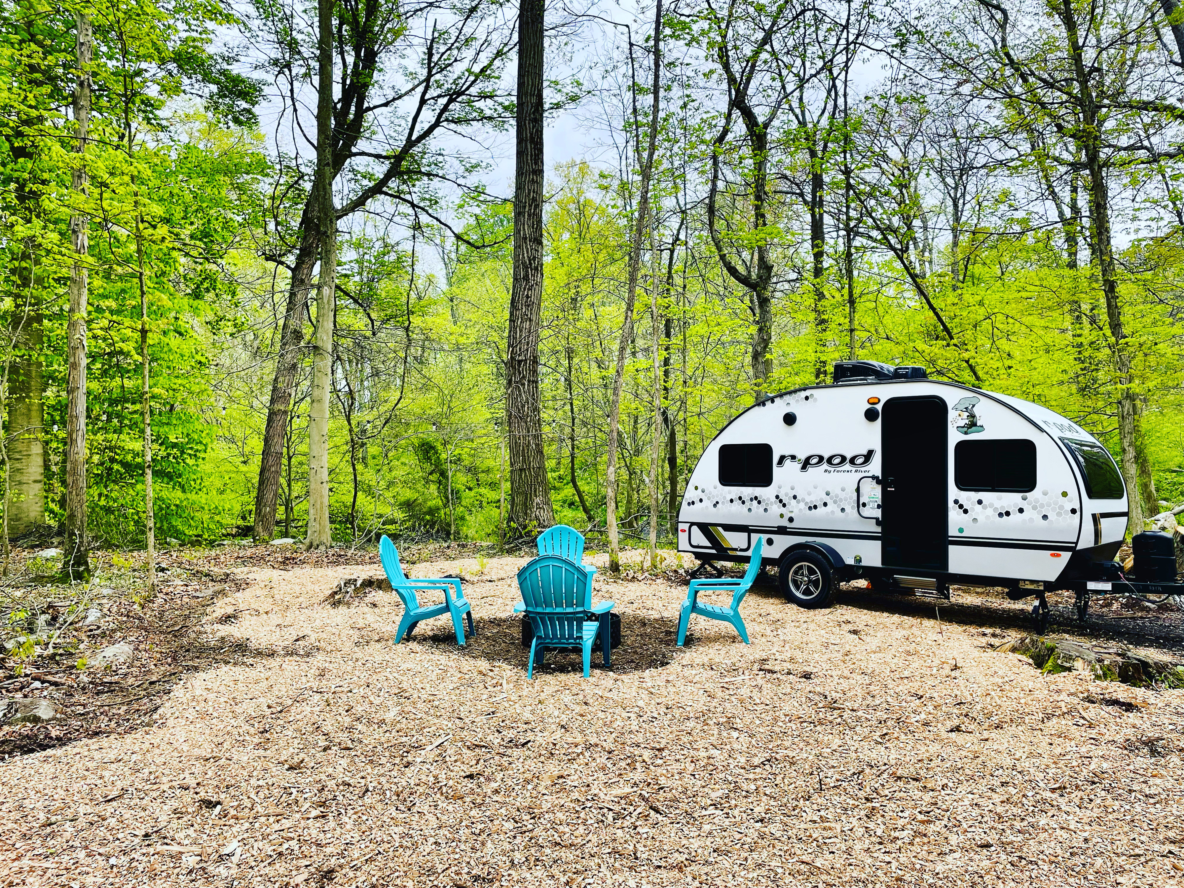 Travel trailer RV Rental 