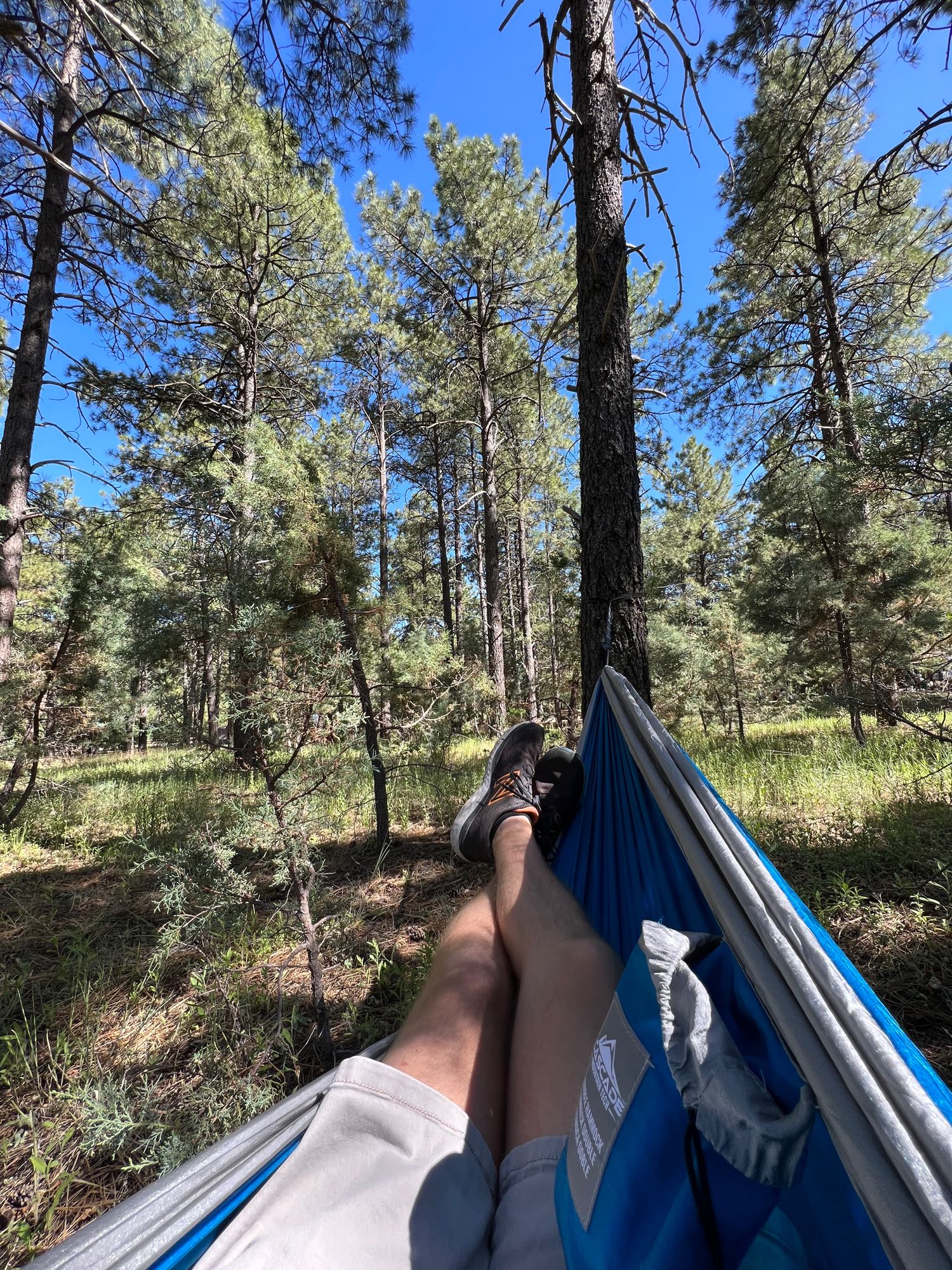 Class B RV Rental 
