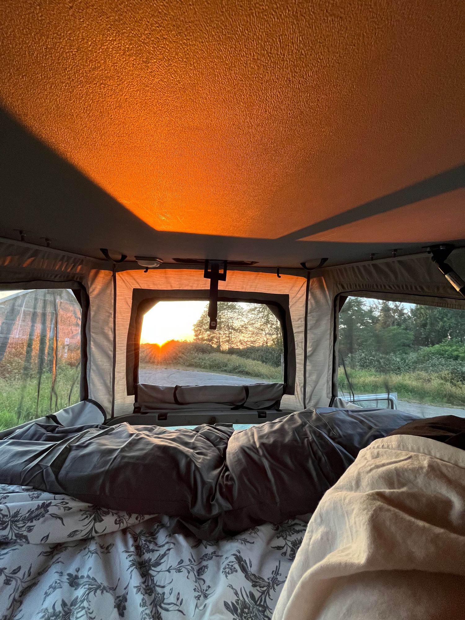 Cozy RV rental bedroom view at sunrise. Golden light fills the interior, revealing bed, road, and trees outside.. Volkswagen Eurovan Winnebago 1997