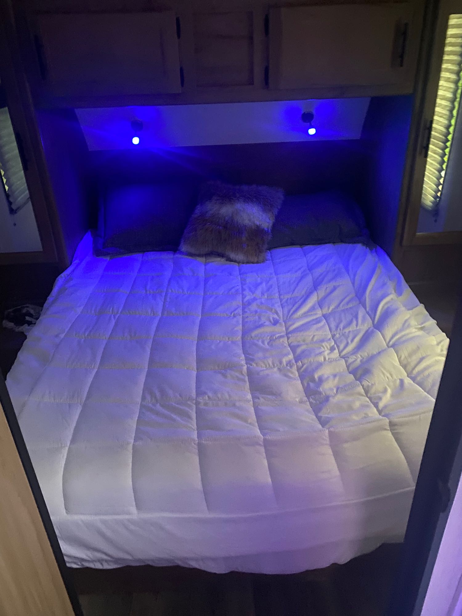 Forest River Grey wolf 2023