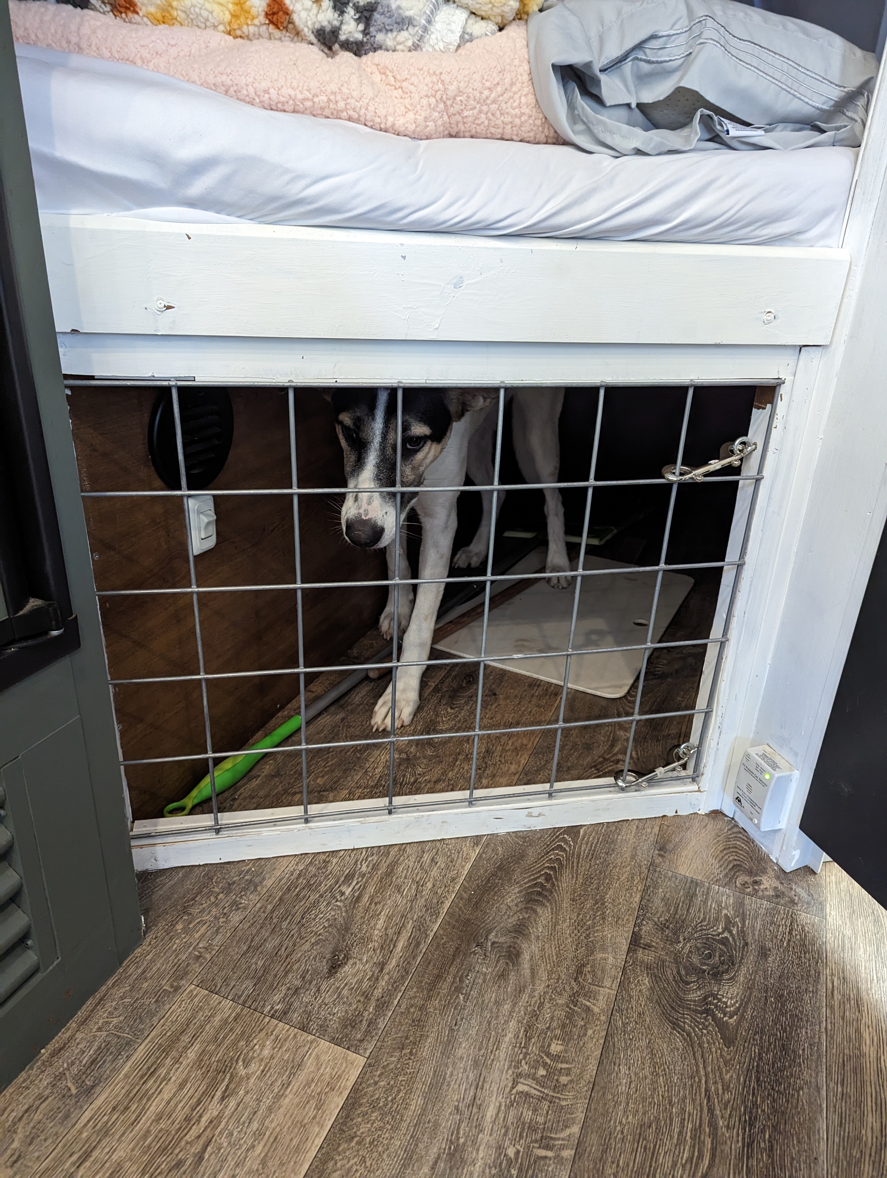 Dog resting comfortably in its custom-built crate under a bunk bed in an RV rental, featuring a secure wire gate.. Keystone RV Springdale Eco-Lite 2016