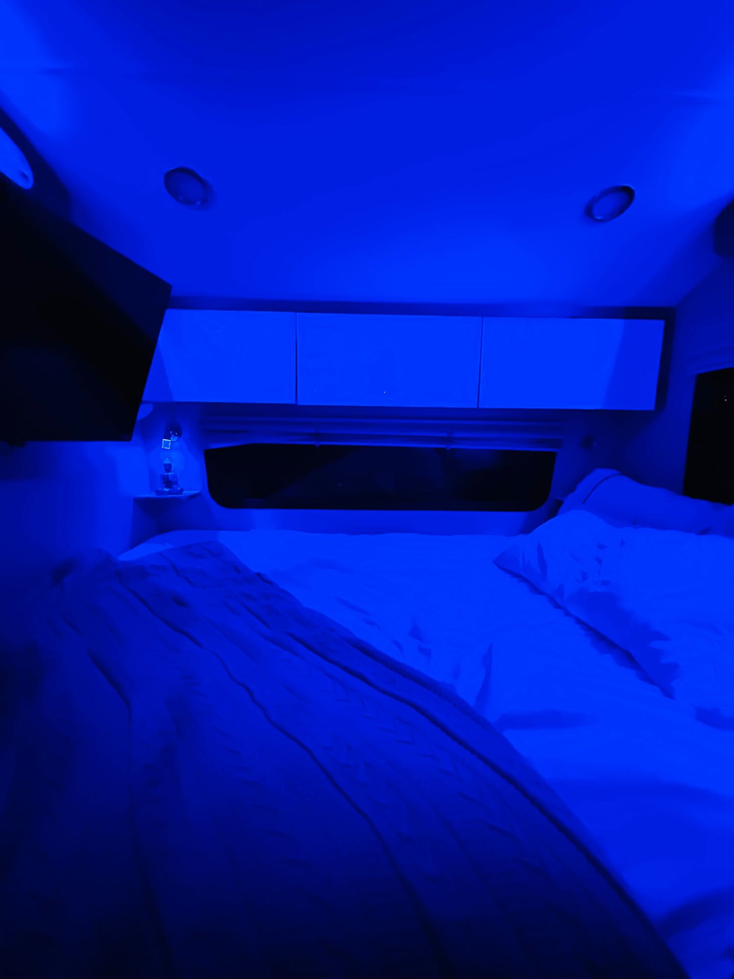 Relax in this RV rental bedroom: blue-lit interior with a comfortable bed, pillows, and overhead cabinets.. InTech RV InTech RV Trailer 2021