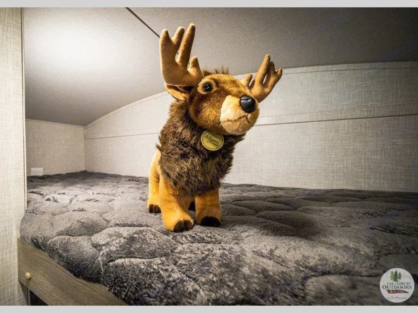 Watch out for Deer!! These bunks are so comfortable! And very spacious! Easily sleep adults as well!. Forest River Rockwood Geo Pro 2022