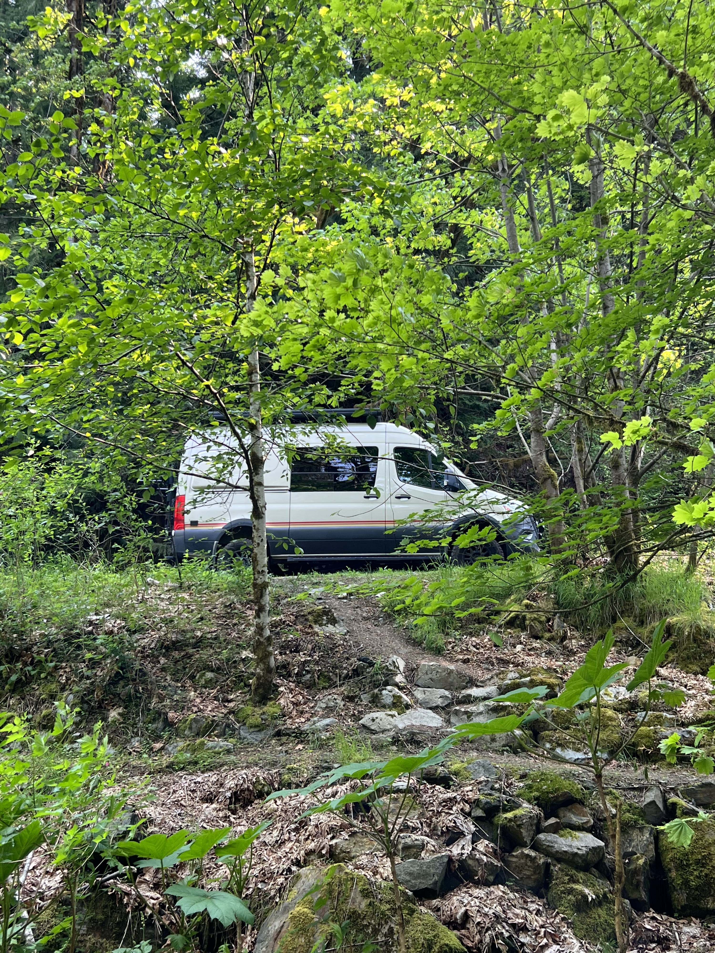 Camper van RV Rental 