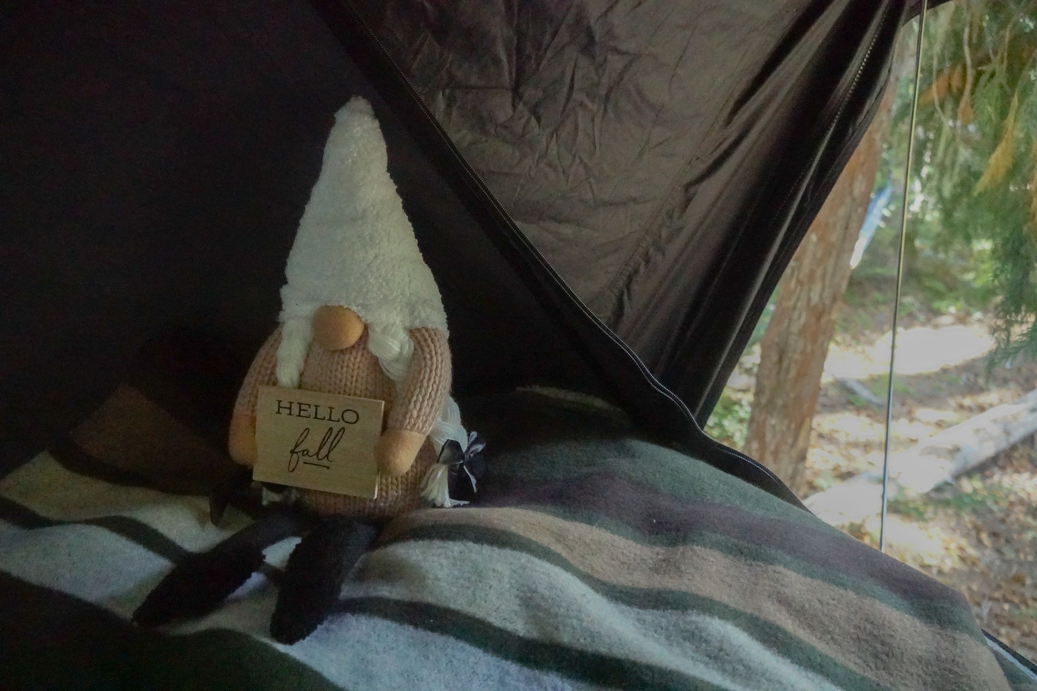 Cozy fall vibes in an RV rental: a gnome holding a 'HELLO fall' sign by the window, blanket, and trees outside.. Subaru Outback with iKamper 2017