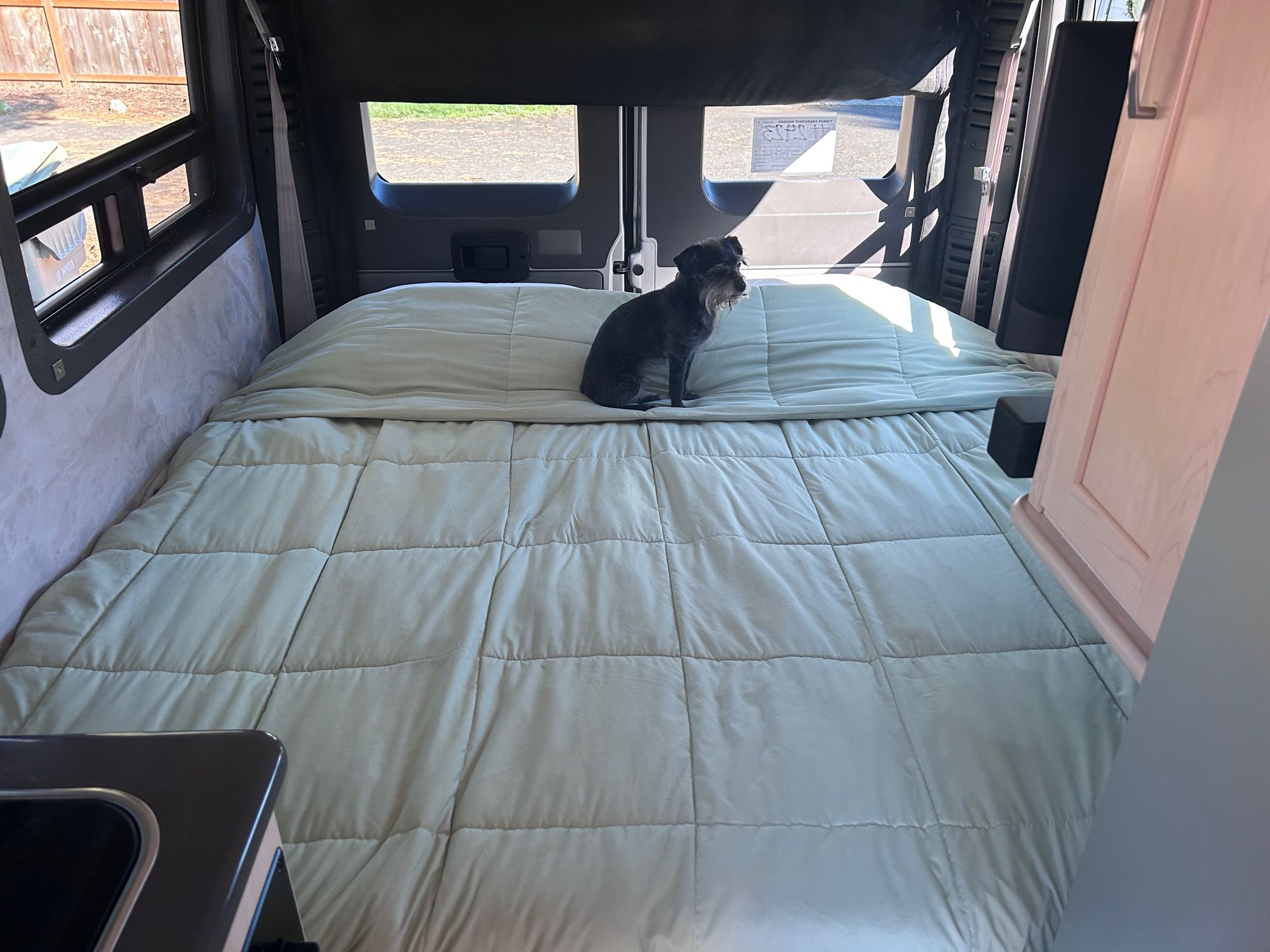 Inside an RV rental: a small dog sits on a sage green bed, with windows and cabinetry visible.. Pleasure-Way Pleasure-Way Class B 2019