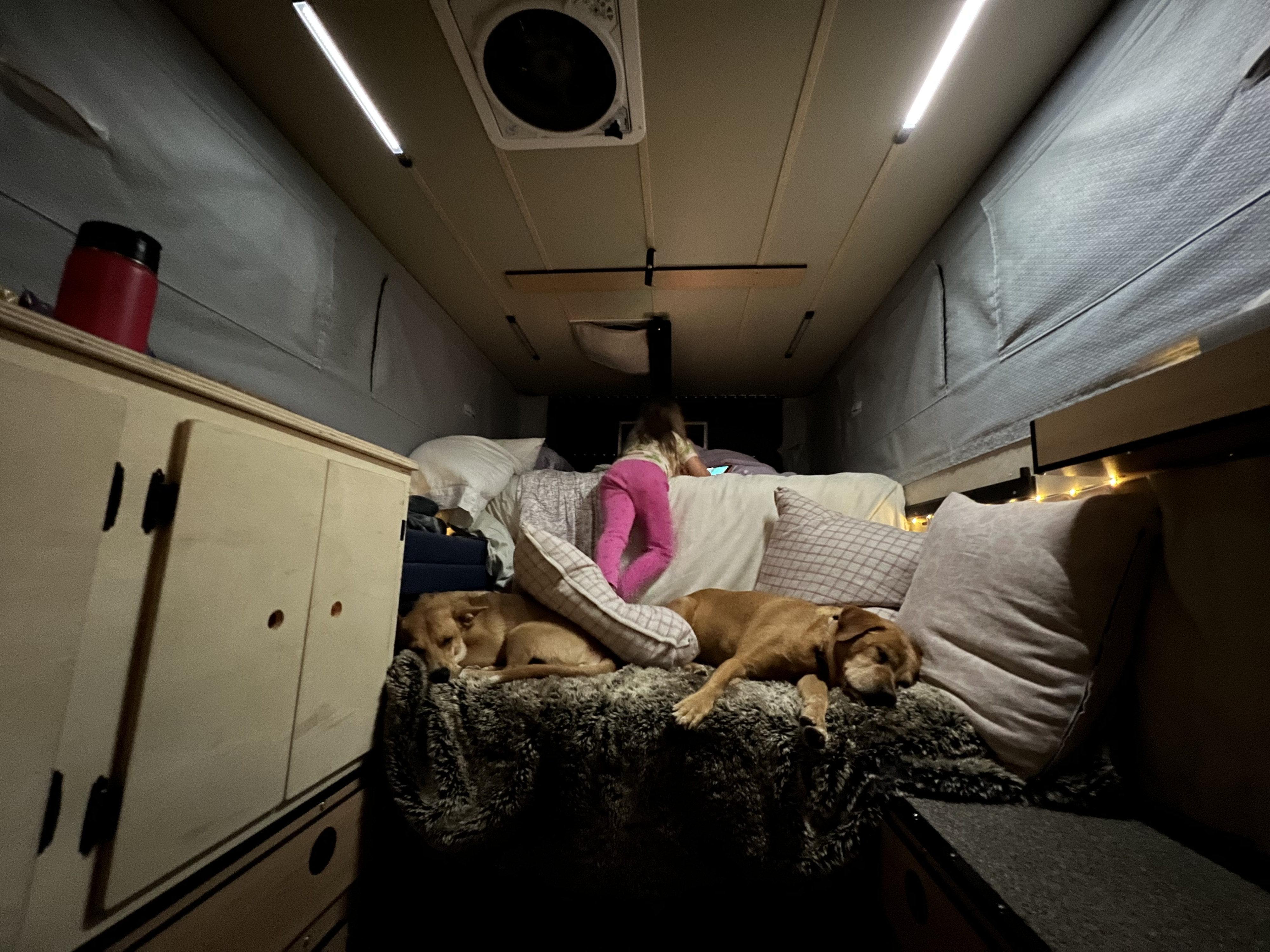 Cozy RV rental: A child and two dogs relax on a plush bed, illuminated by warm lights. Perfect for family adventures.. Four Wheel Campers Fleet 2021