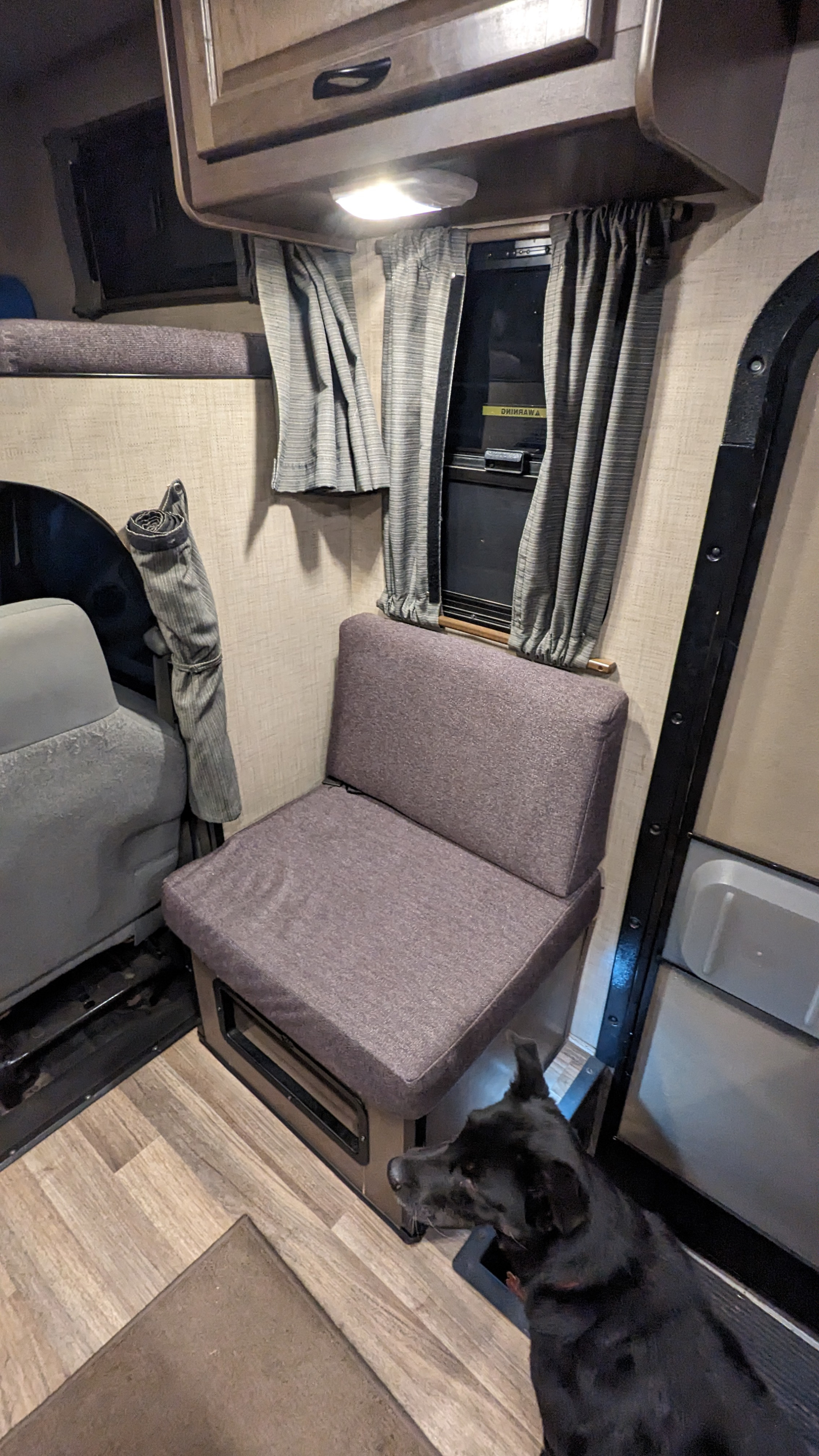 RV rental's comfortable interior showing a purple seat, window with curtains, and a black dog near the entrance.. Thor Majestic 2018