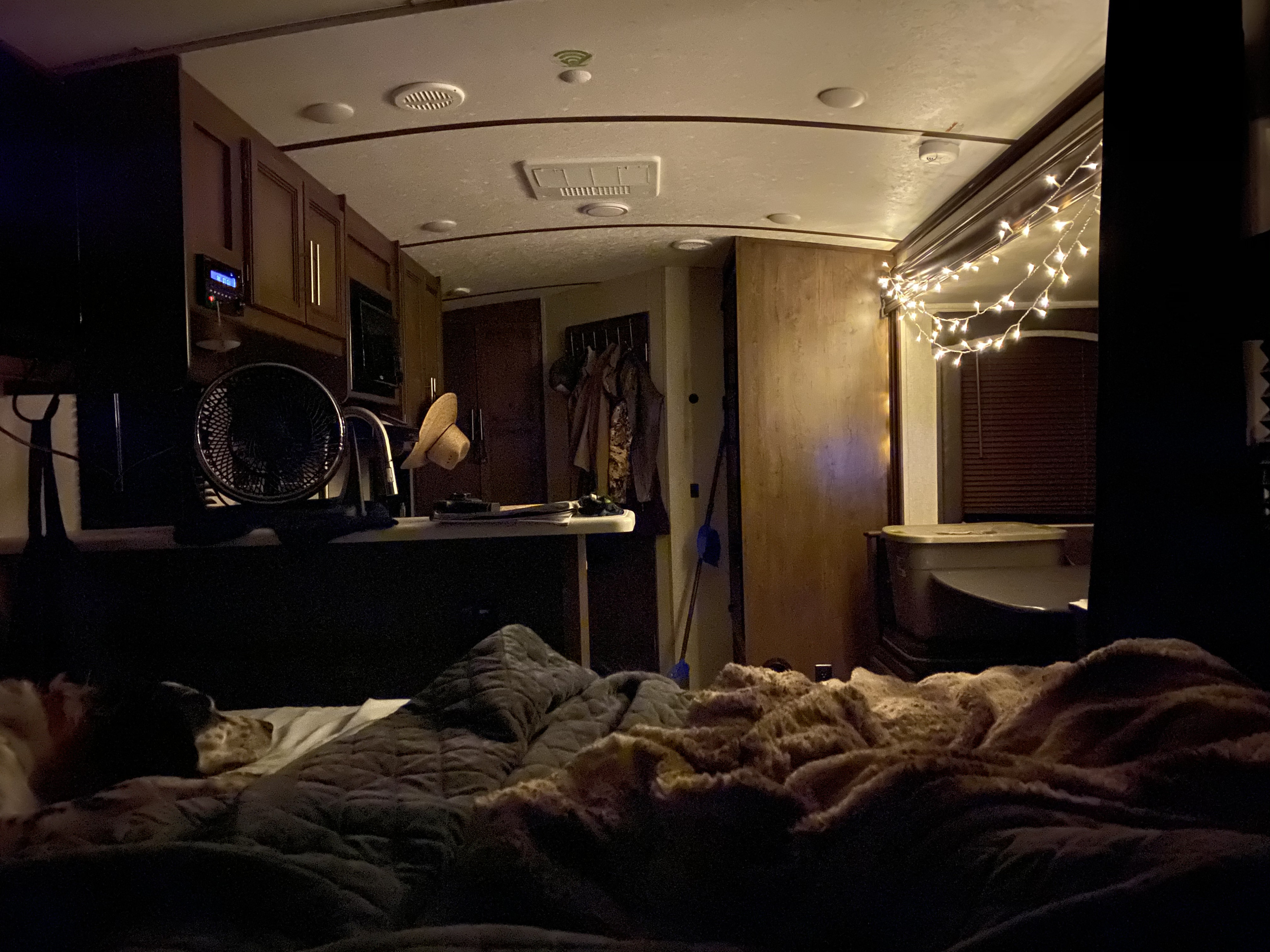 Nighttime rv rental scene. A comfy bedroom with a dog and blankets, illuminated by warm string lights & ceiling fixtures.. Keystone RV Cougar 2020