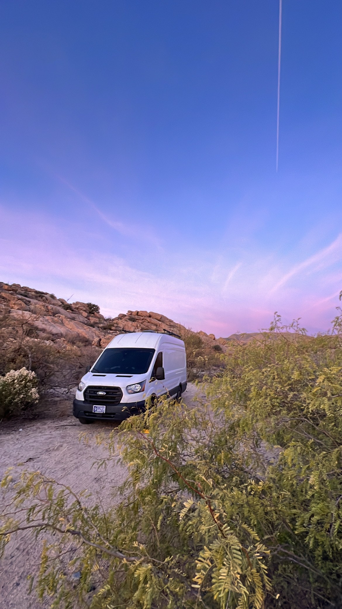 Toad the Travelin' Transit - Ford Transit w/ large garage