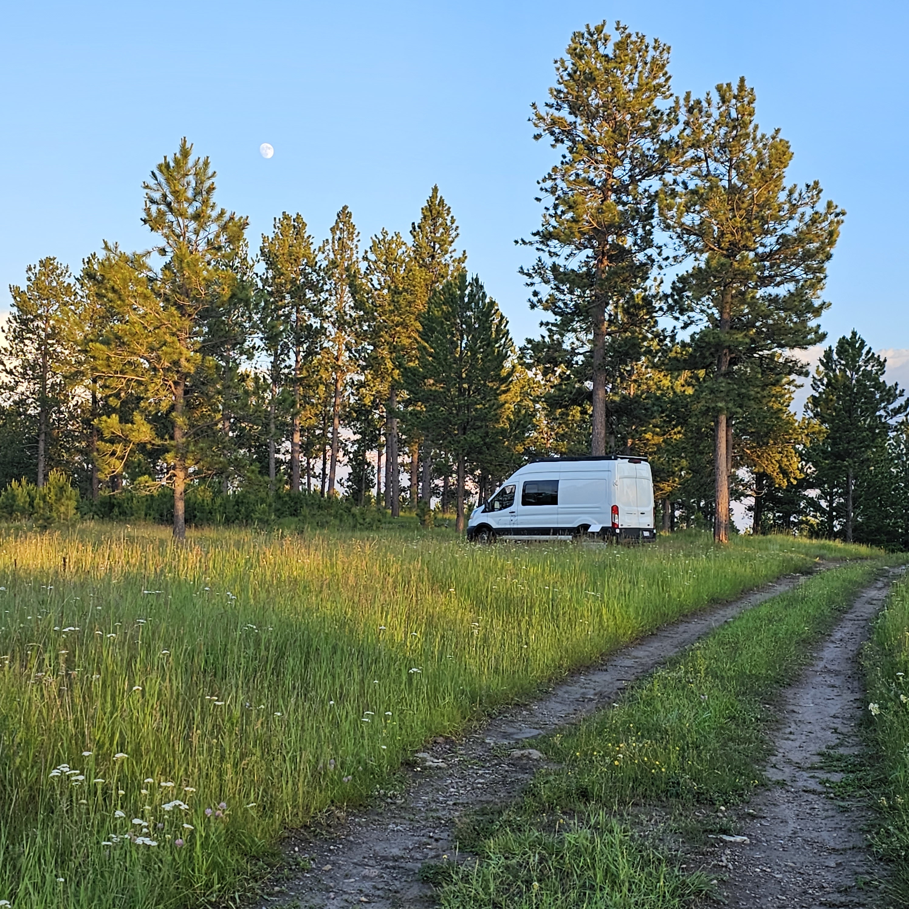 Camper van RV Rental 