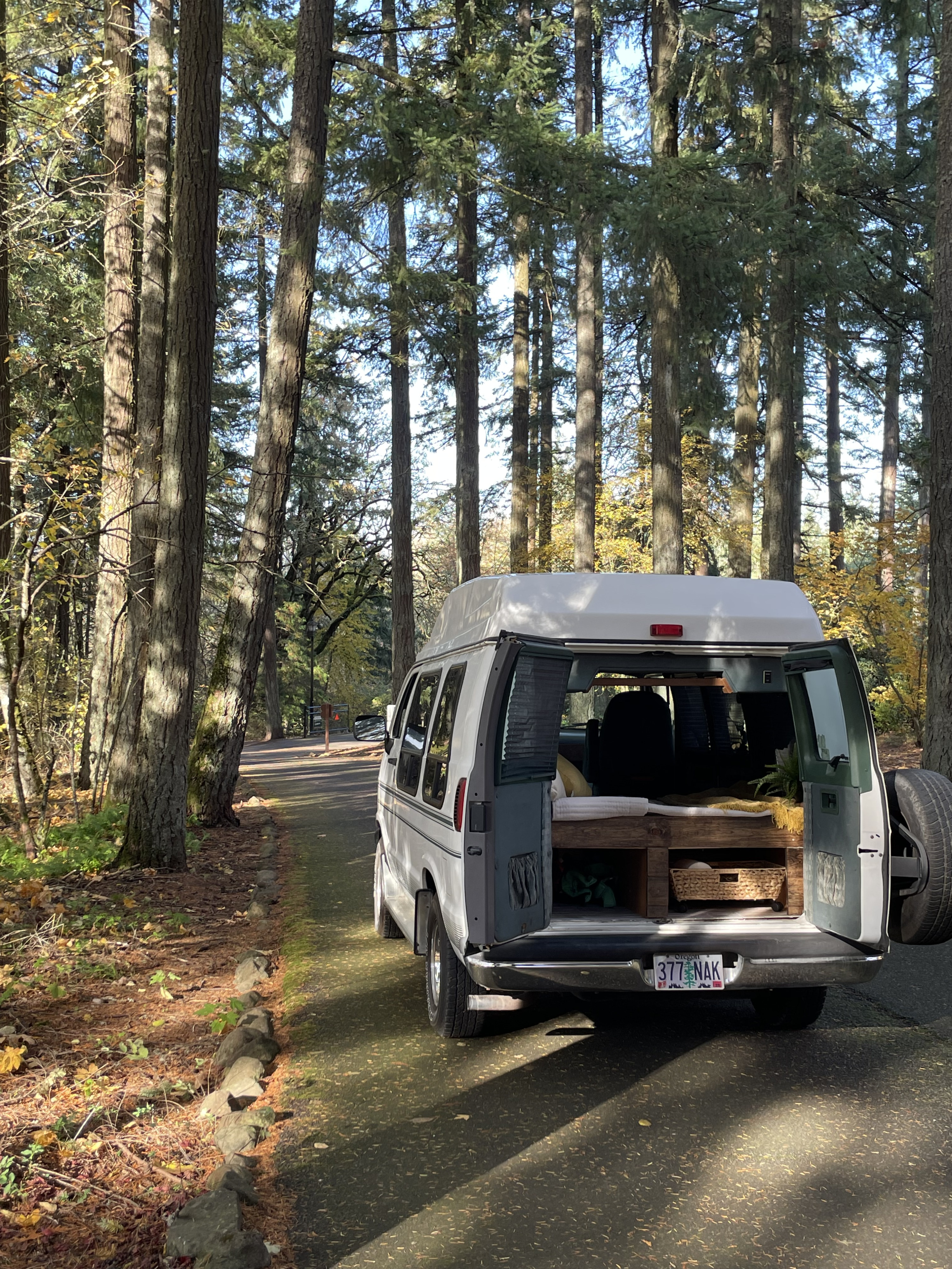 This Oregon RV rental camper van offers van life comfort, parked in a sun-dappled forest with its cozy bed revealed.. Dodge Sprinter 2500 170ext 1997