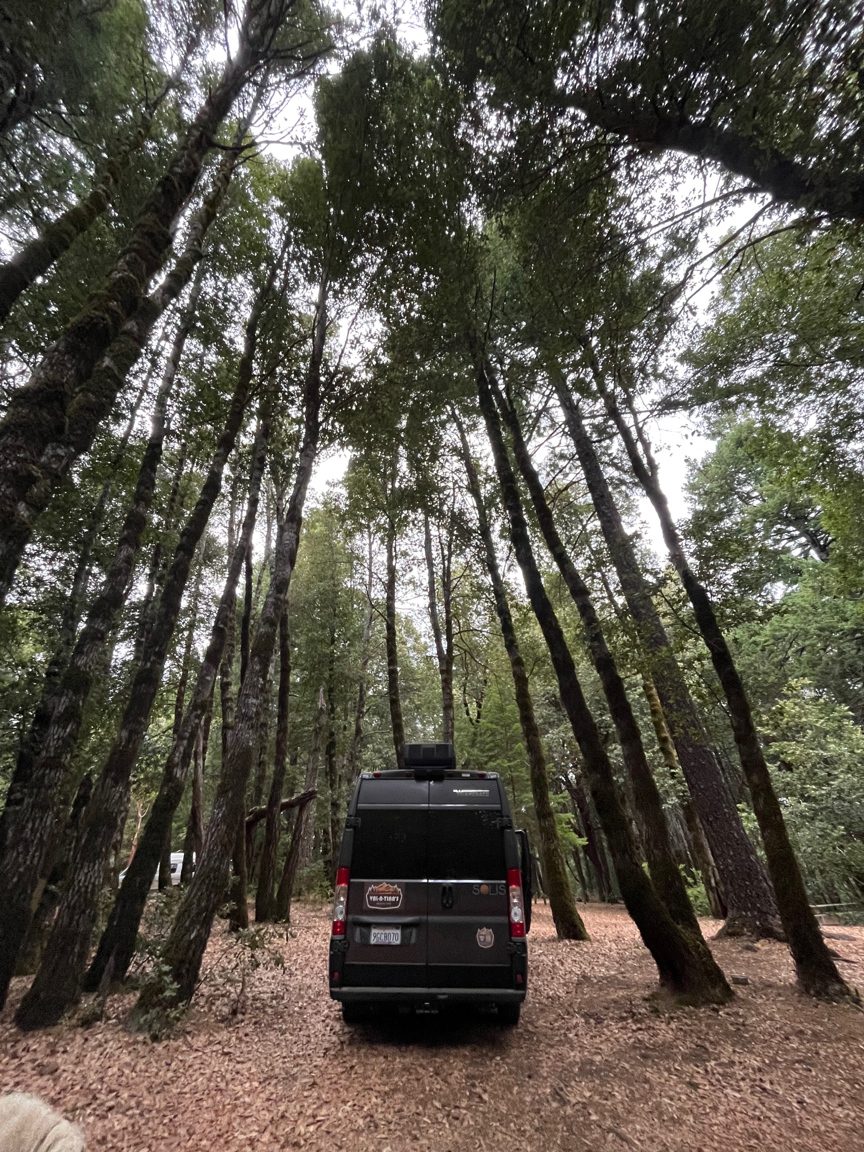 Class B RV Rental 