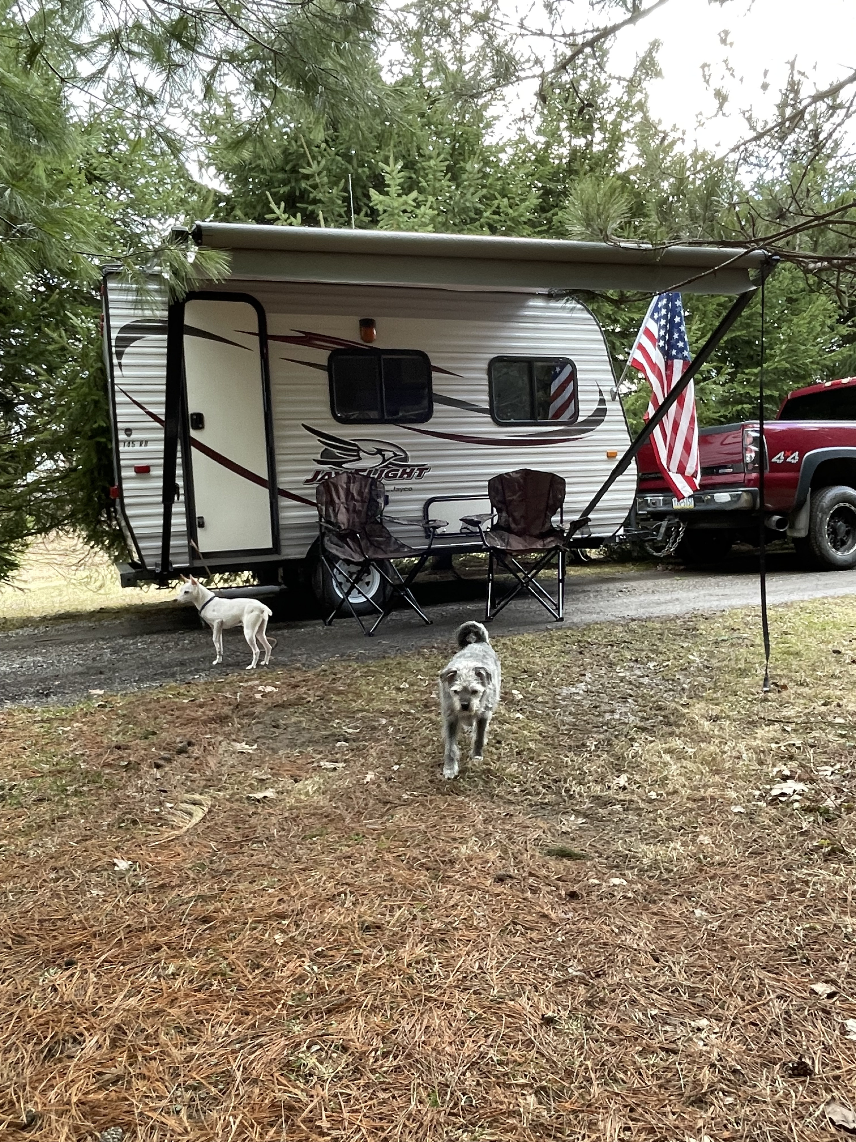 Mikes 2015  "Baby J"Jayco Jay Flight SLX (Quemahoning Dam Special)