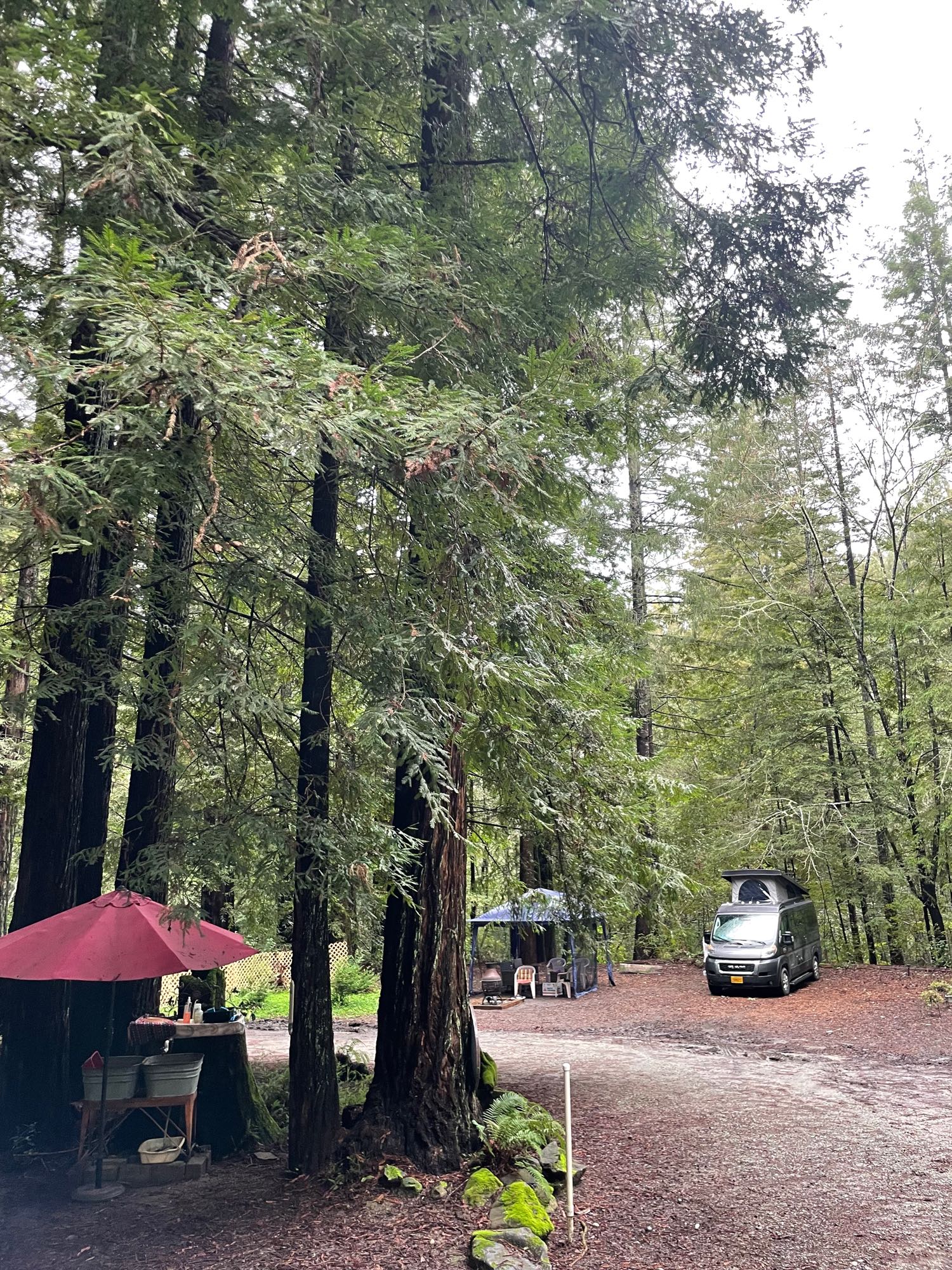 Turquoise Trail Campground Turquoise Trail Rv Park Park Style End