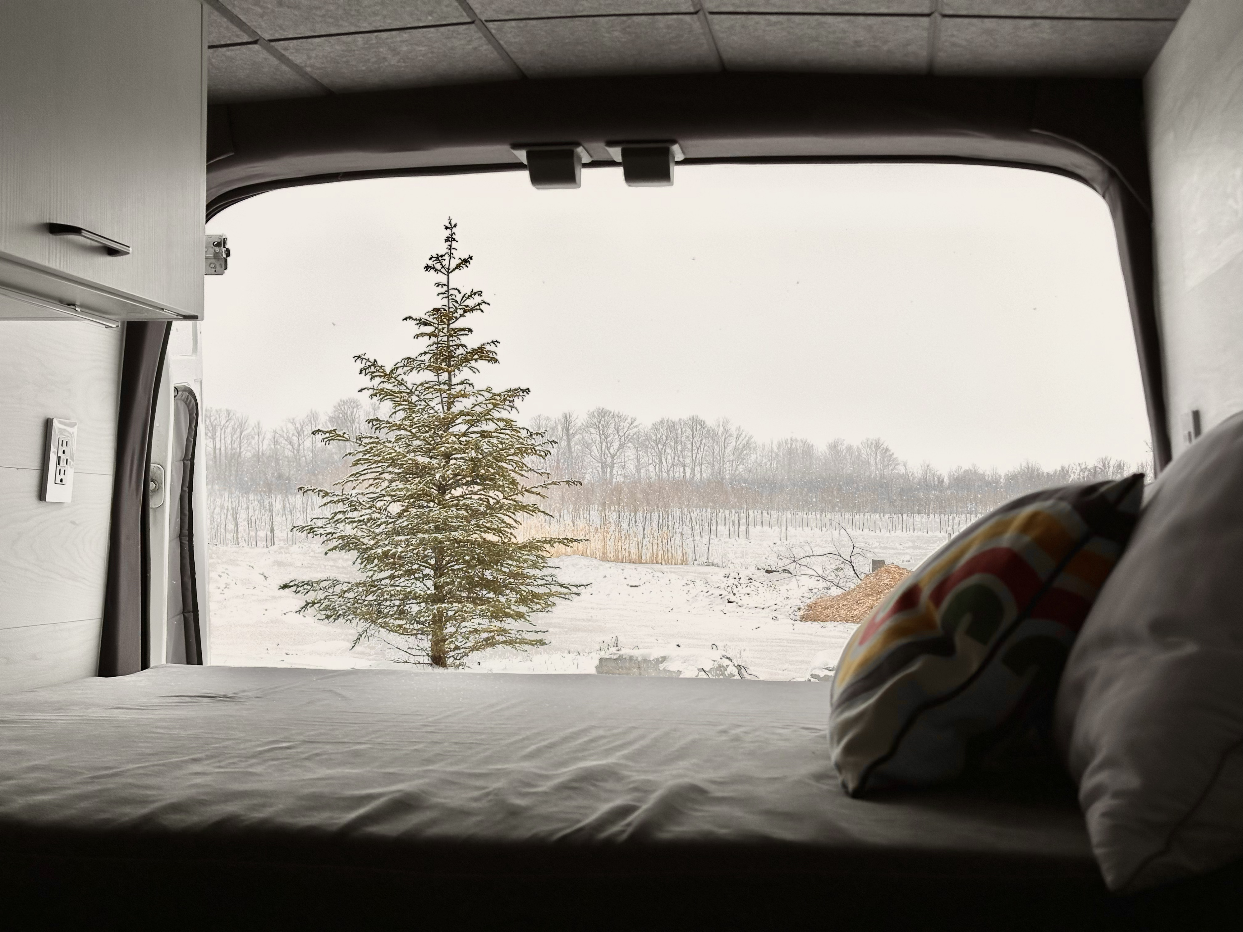 RV rental winter wonderland view from a cozy bed. Snow-covered tree & landscape visible from inside the van.. Ford Transit T-350 2020