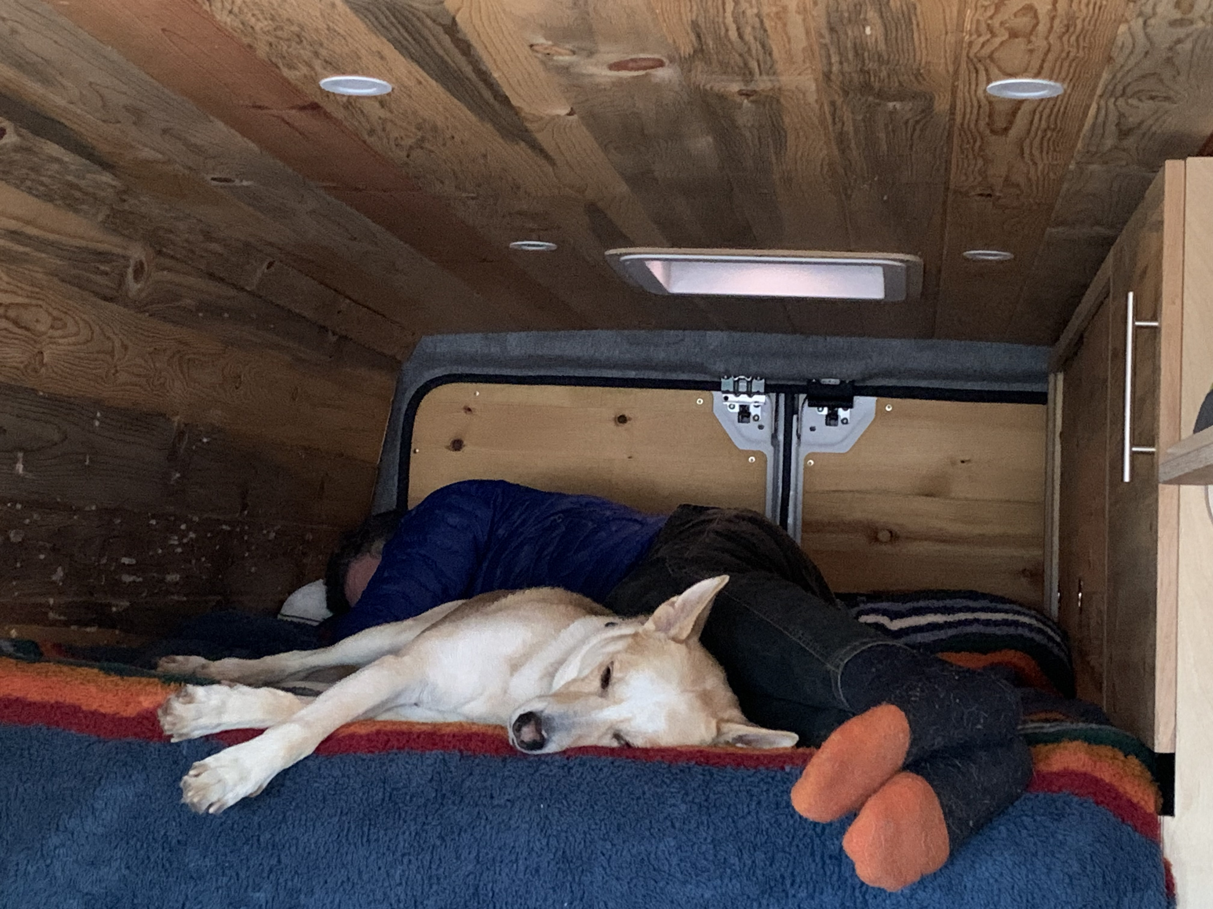 Cozy RV rental rest: A person and their dog nap on a colorful bed inside a custom-built, wood-paneled van.. Dodge Sprinter Van 2020