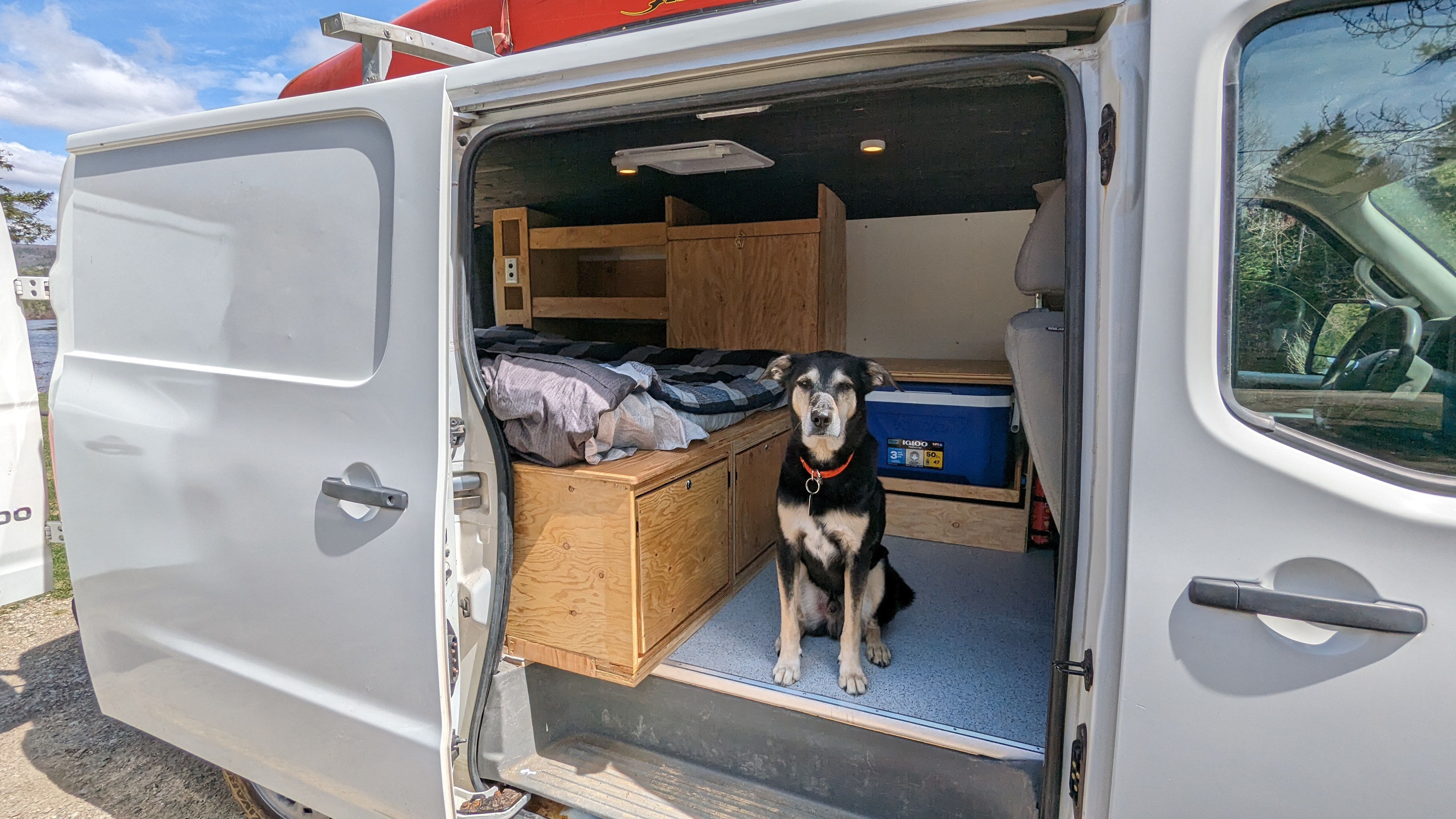 A dog in a custom RV rental camper van, featuring a bed & storage for van life adventures.. Nissan Other 2012