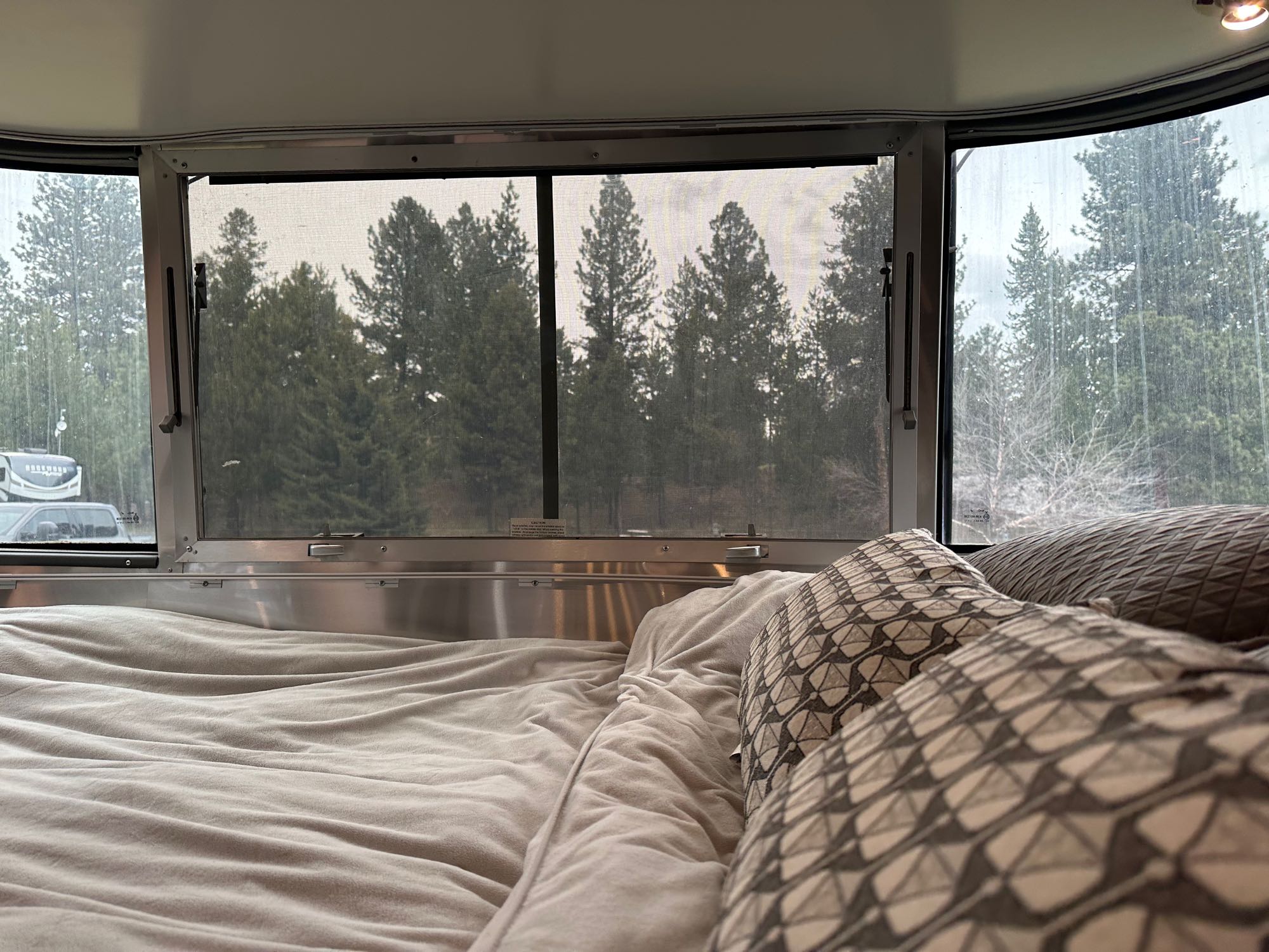 Relaxing in an RV rental bed, looking out at a forest through screened windows on a gray day.. Airstream Caravelle 2020