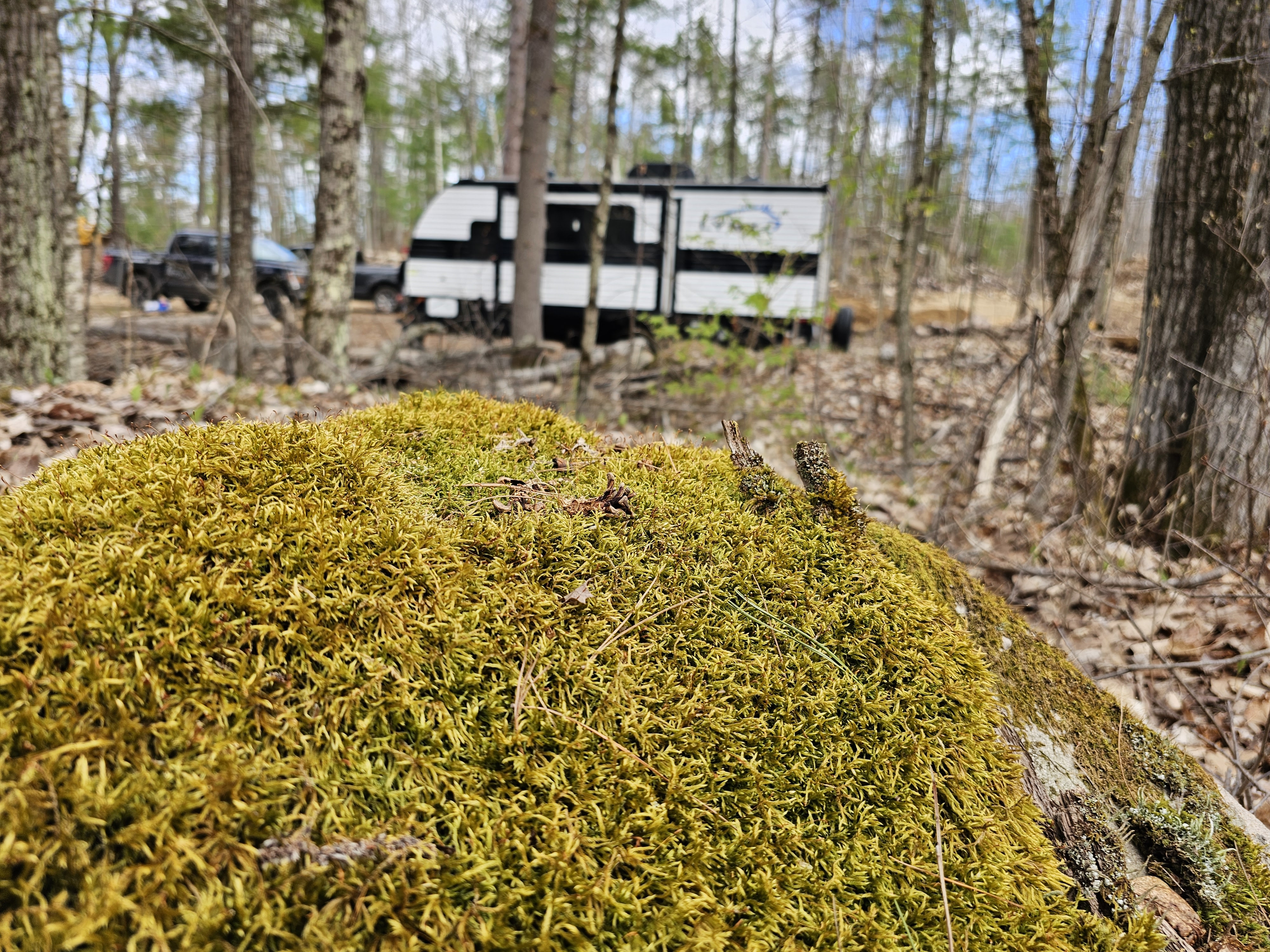 Direct from Dealer Spring 2024 - Heartland RVs Prowler Lynx