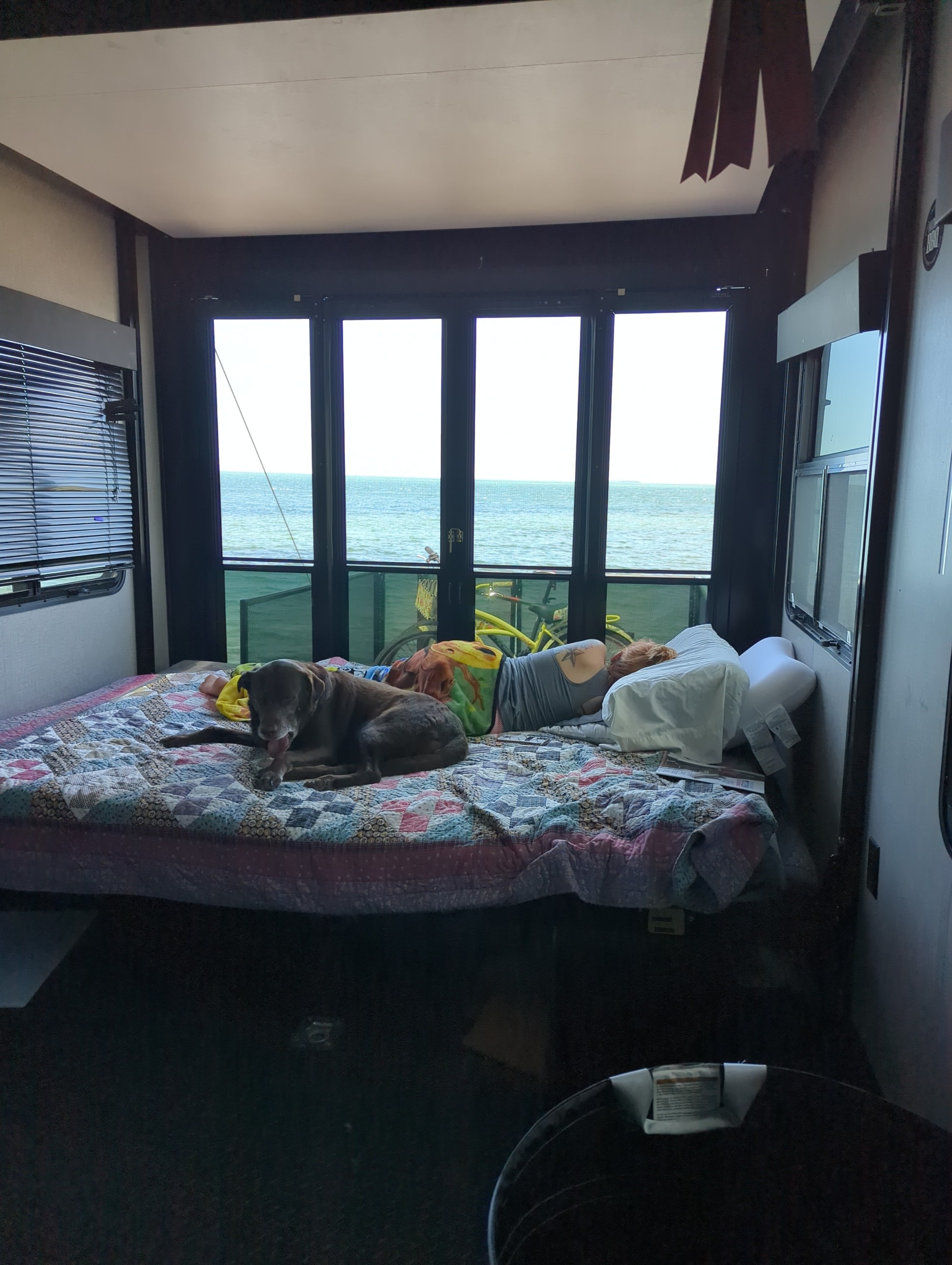 Inside an rv rental: a person and dog nap on a cozy bed with an ocean view and a bike outside.. Jayco Seismic 2021