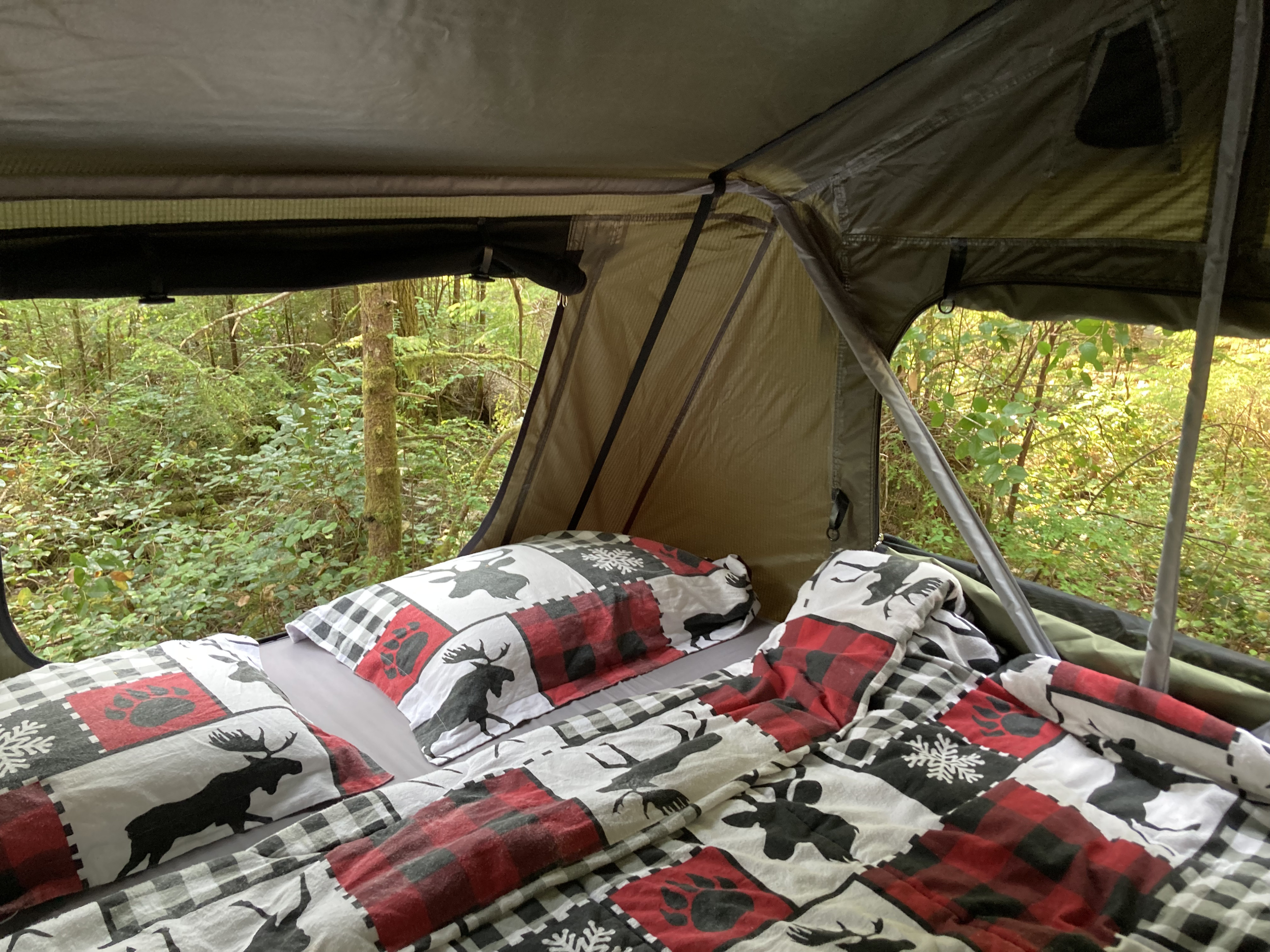 Inside a cozy RV rental rooftop tent with nature-themed bedding, looking out at a vibrant green forest.. Subaru Outback 2015