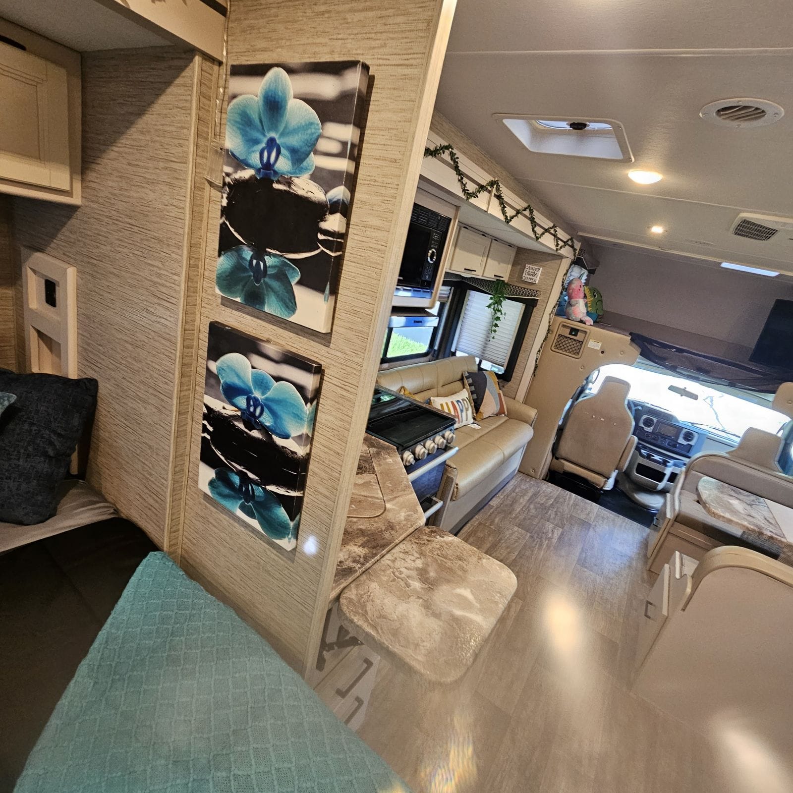 Cozy RV rental interior: kitchen, living area, and cockpit ahead. Blue orchid art adorns the wall by the bed.. Thor Chateau 2023