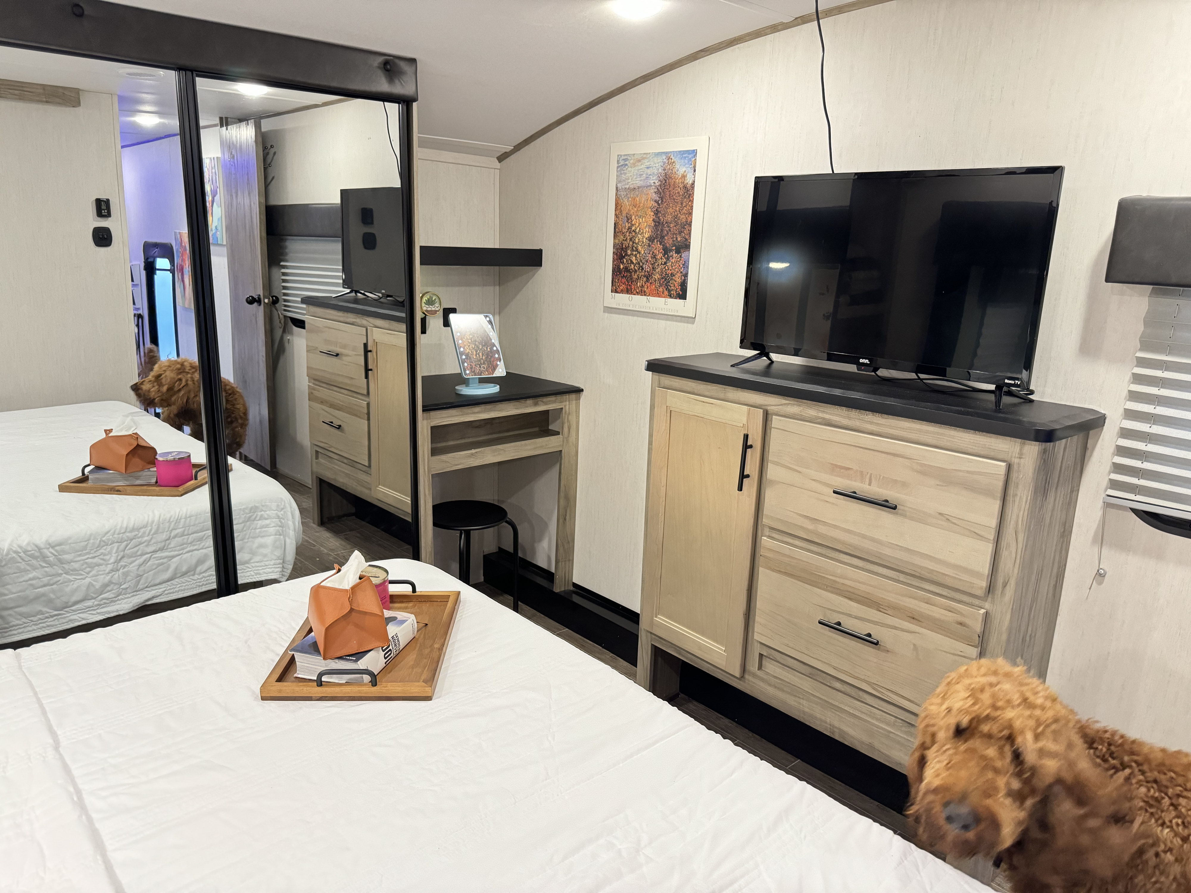 RV rental bedroom with a comfy white bed, dresser, TV, and vanity. A cute dog is on the bed and reflected in the mirror.. Forest River Cherokee Arctic Wolf 2022