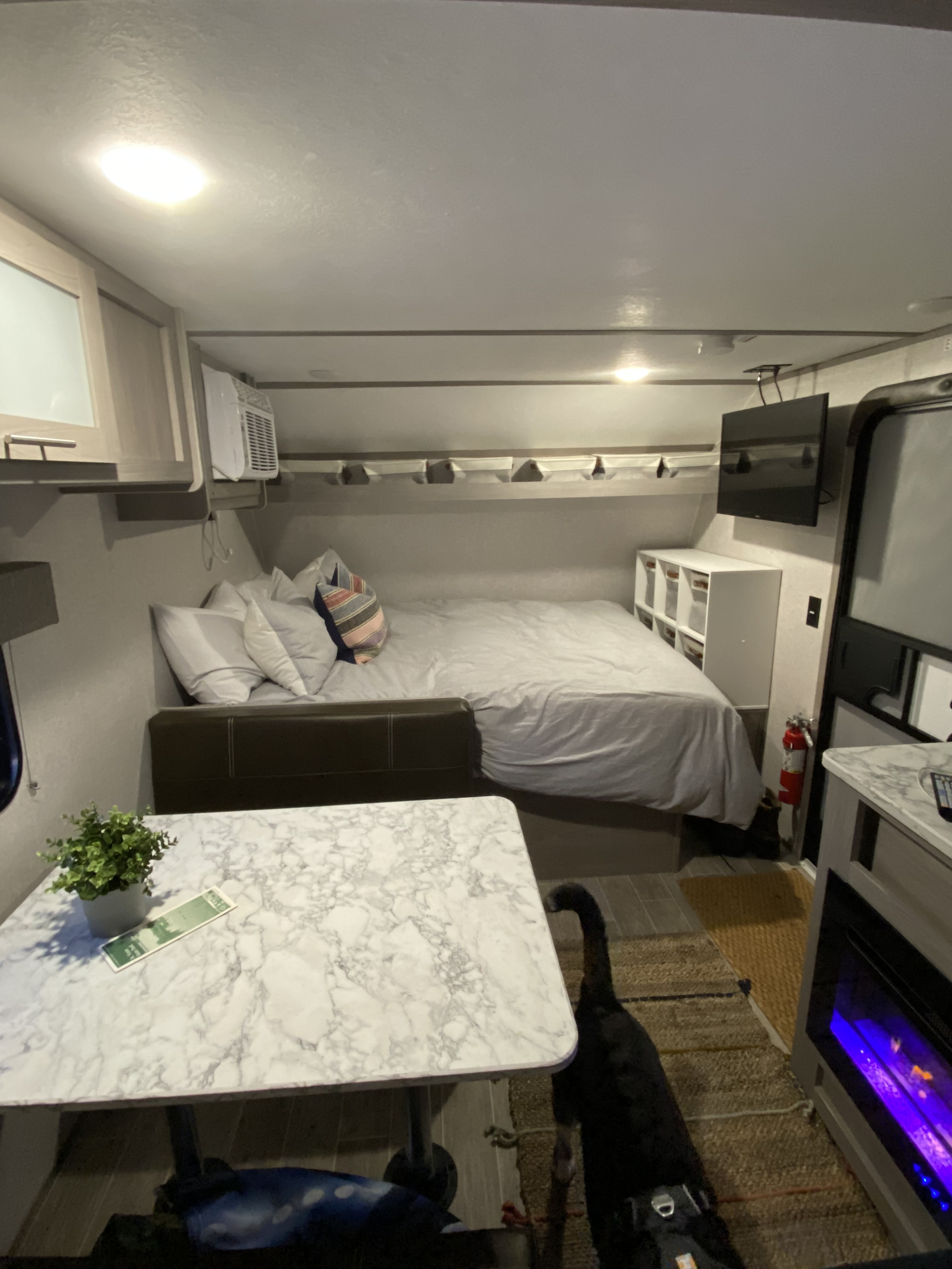 Cozy RV rental interior showing a bed, small dining area, entertainment, and a black dog on the floor.. Dutchmen Coleman Lantern LT 2022