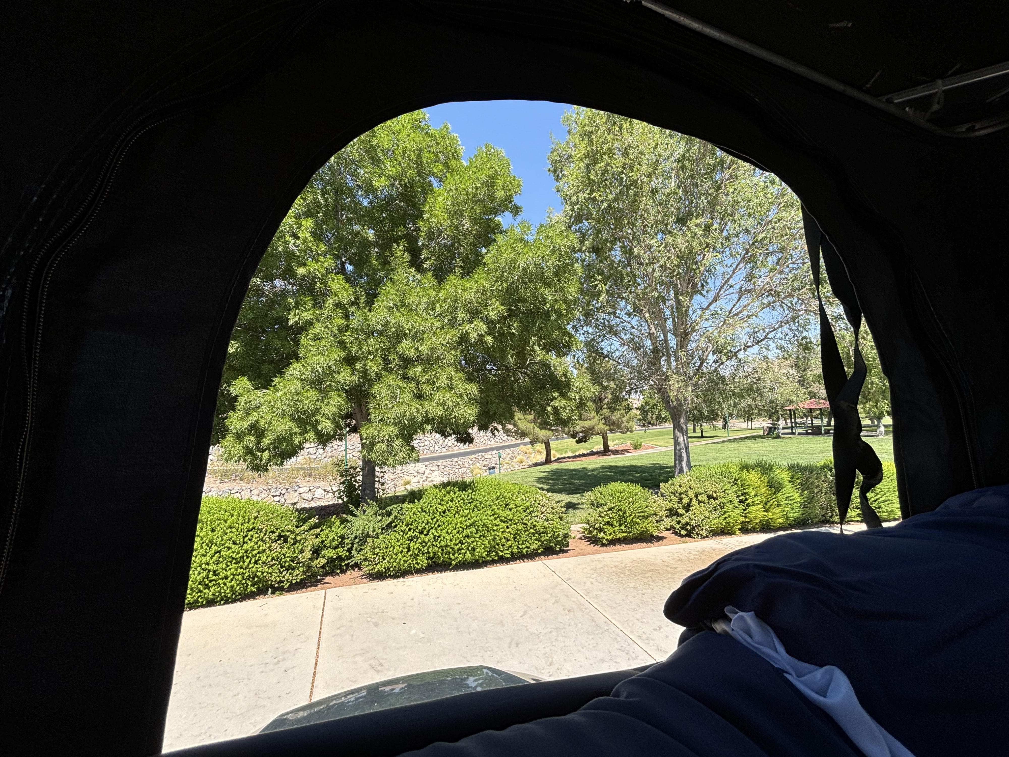 Sunny park view from an RV rental. Dark interior frame highlights lush green trees, bushes, and a paved path.. Subaru Forester 2010