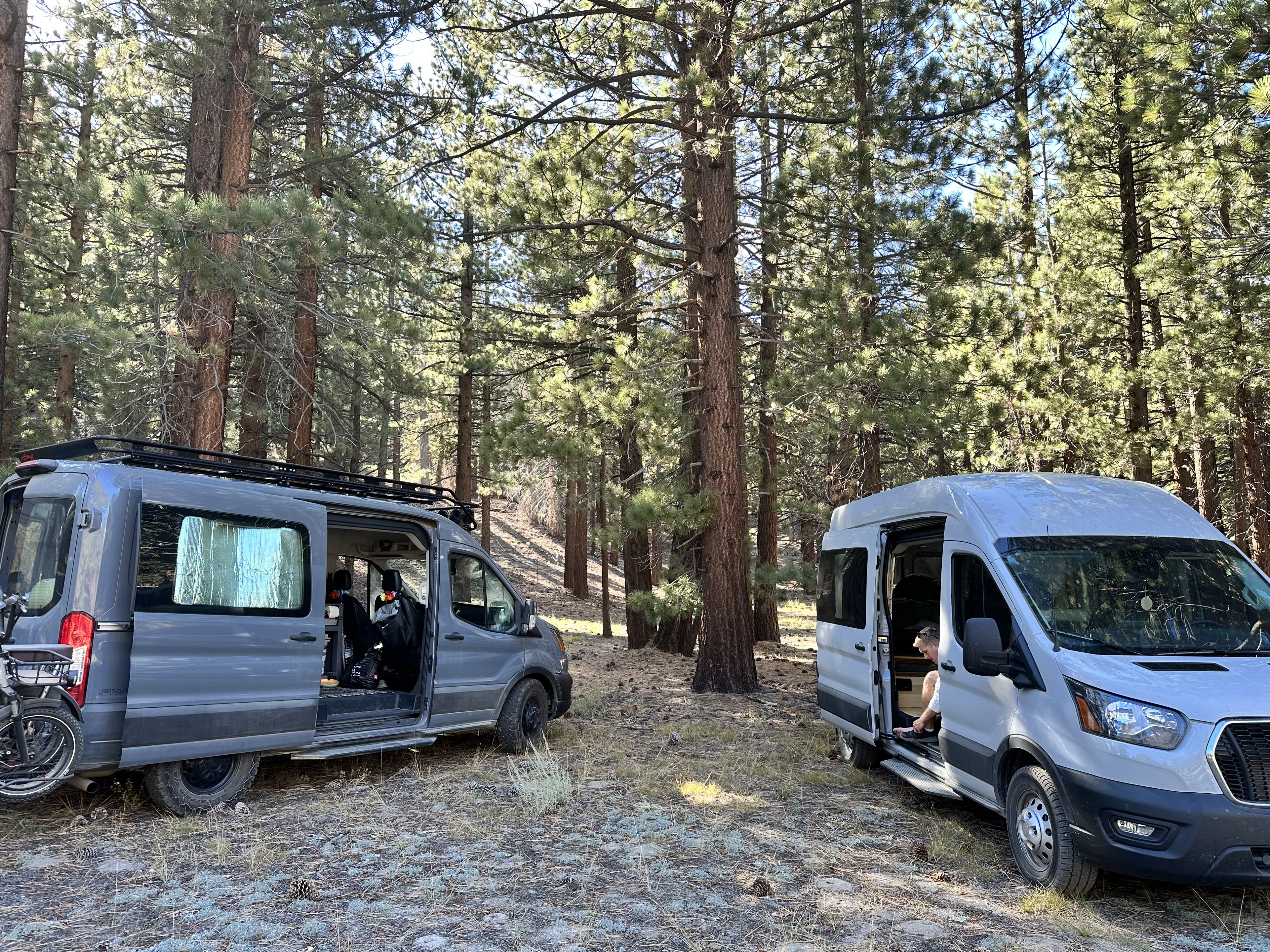 Camper van RV Rental 