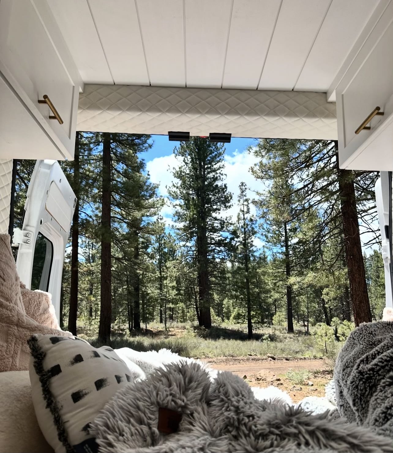 Inside an RV rental, fluffy blankets overlook a lush pine forest and dirt road from the open rear doors.. Dodge Ram 1500 2019
