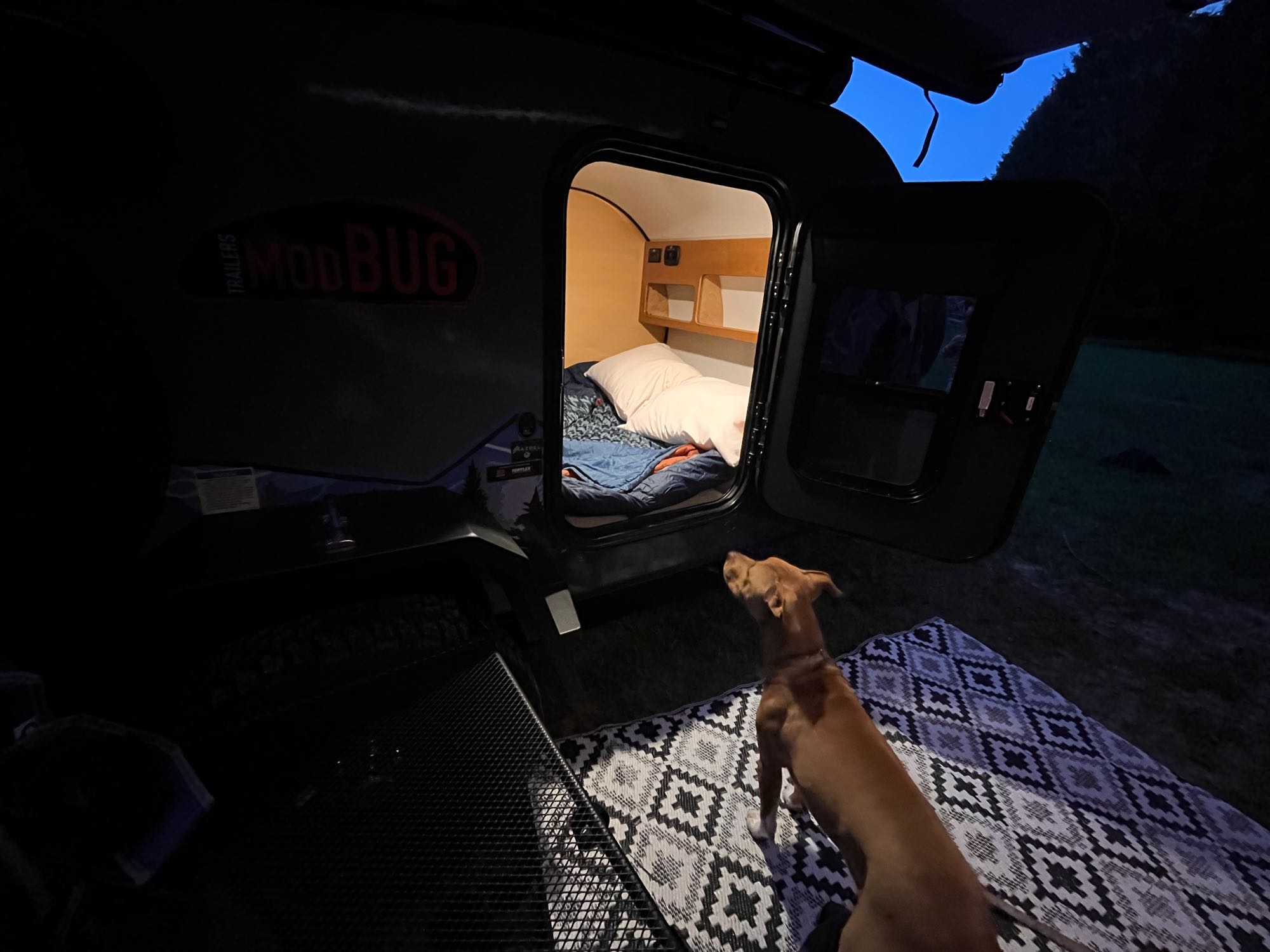 Cozy RV rental teardrop camper at night. Dog on mat outside, peering into the comfortable, lit interior.. Modern Buggy Little Modern Buggy 10RK 2024