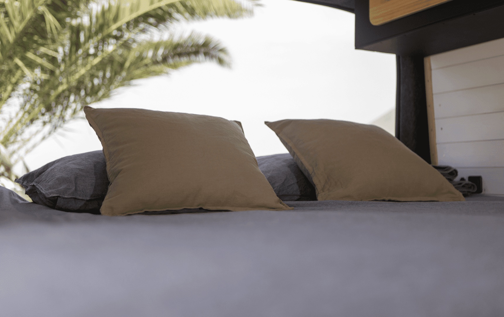 RV rental: A cozy bed with pillows inside a camper van, showing a palm tree and bright outdoor view for travel.. Ford Transit 2023