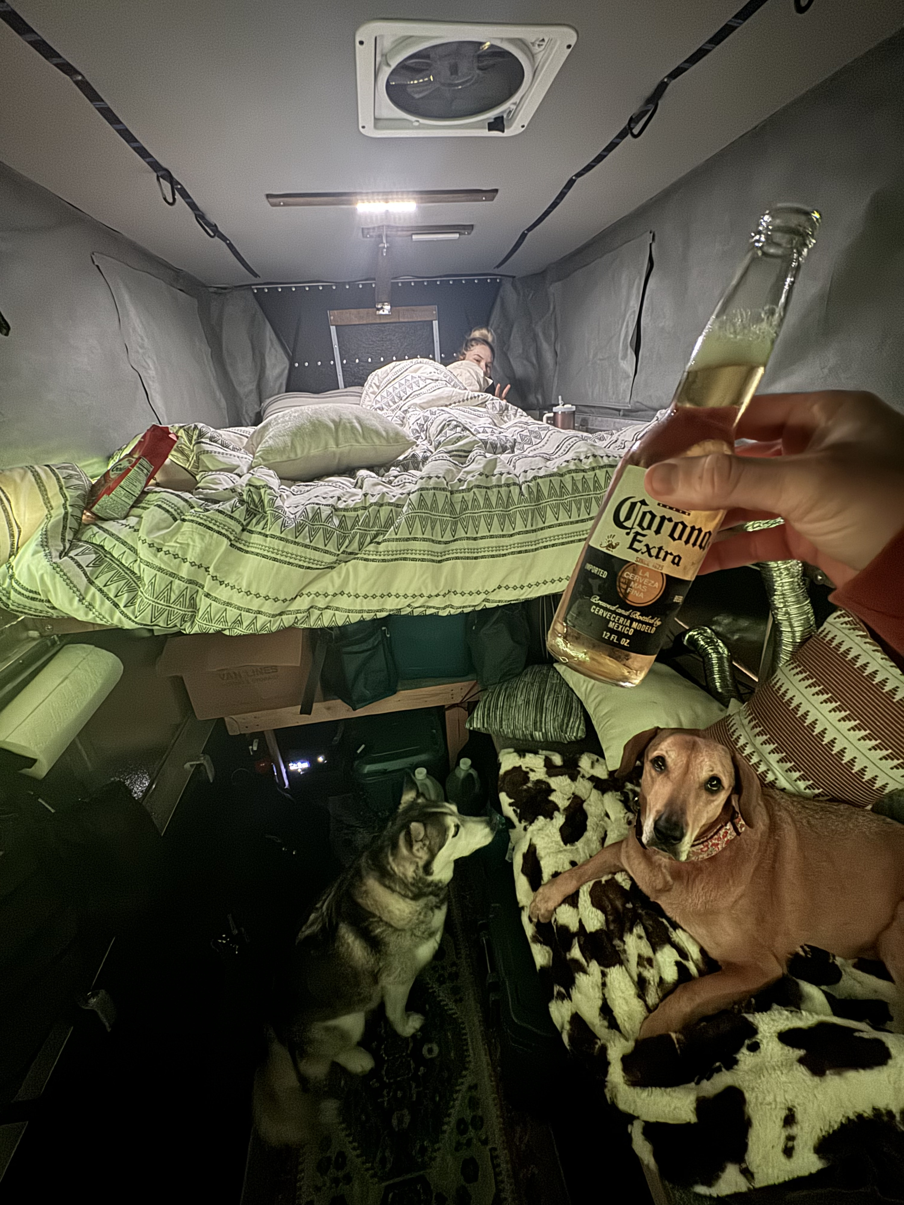 Relaxing inside an RV rental: person in bed, two dogs on the floor, and a hand holding a cold Corona.. Toyota Tundra 2021