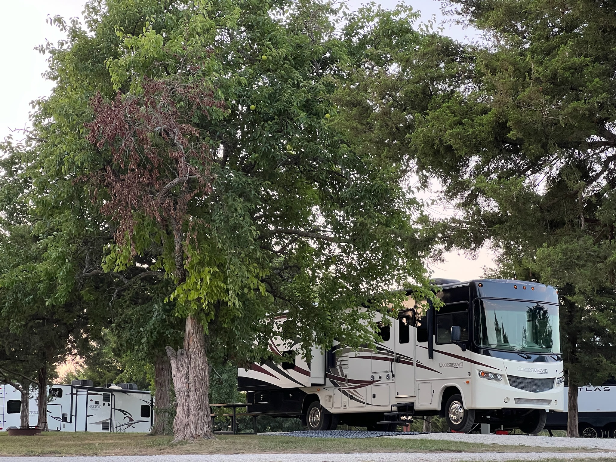 Forest River Georgetown 351DS