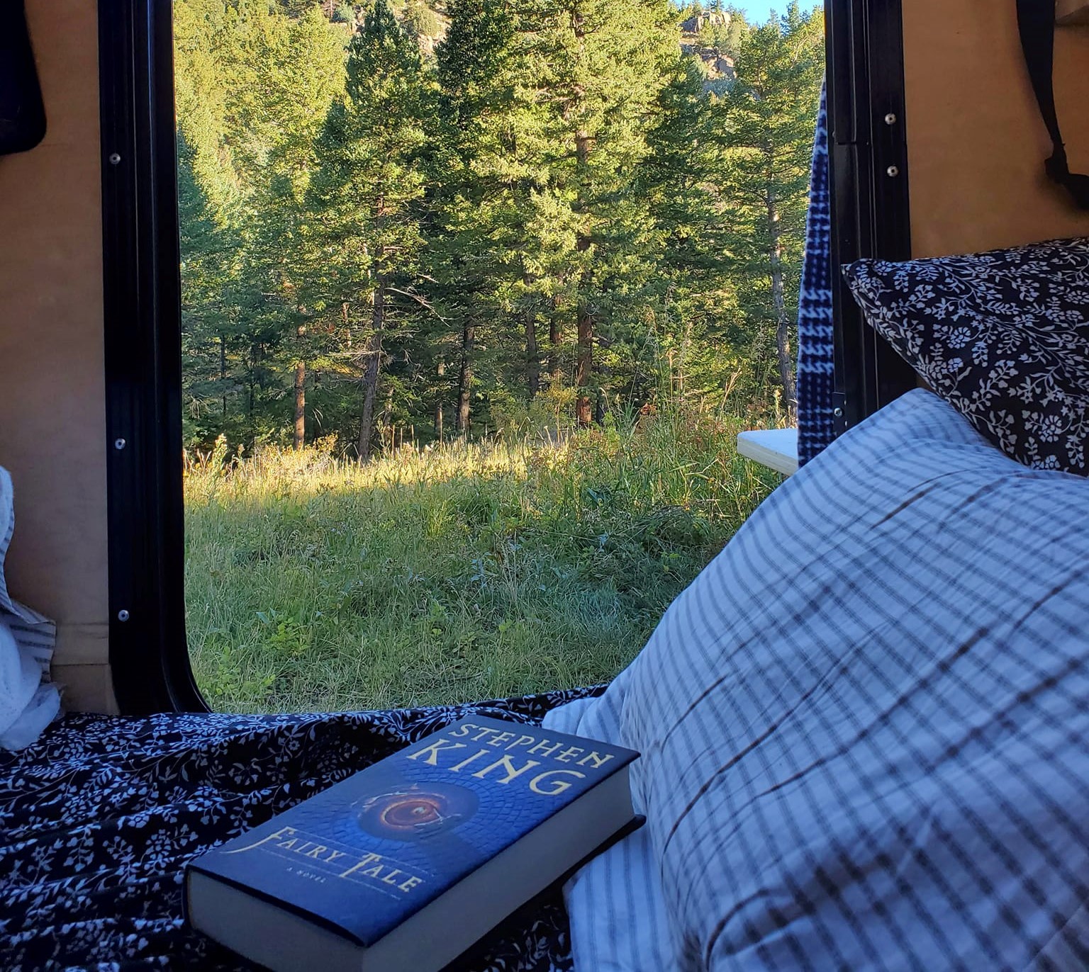 RV rental comfort: Reading Stephen King's "Fairy Tale" with a lush forest view. Relaxing nature escape bed scene.. Colorado Colorado Teardrop Mount Massive 2022