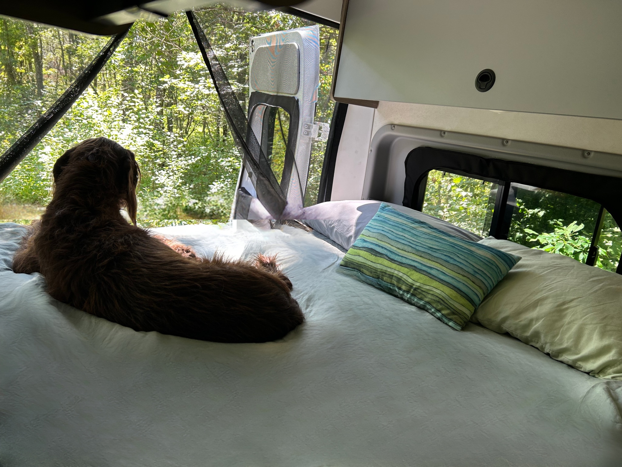 Queen bed with memory foam layer added. Slide windows on each side with screens. Back doors open wide and a screen zips down for a tent-like feel in luxury. (featuring Boudica, our pudelpointer). . Dodge Winnebago 2021