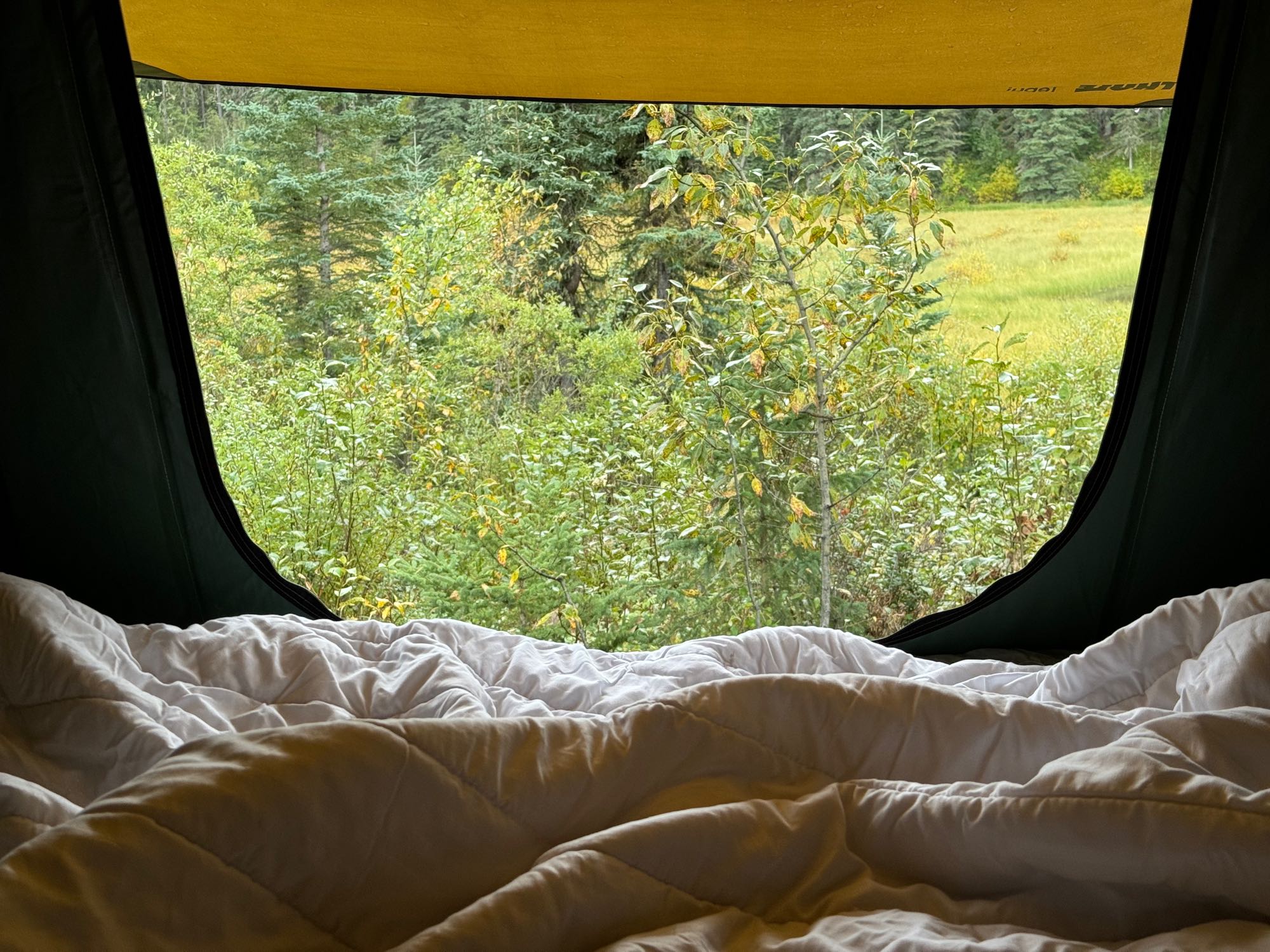 Toyota RAV4 XLE 2023