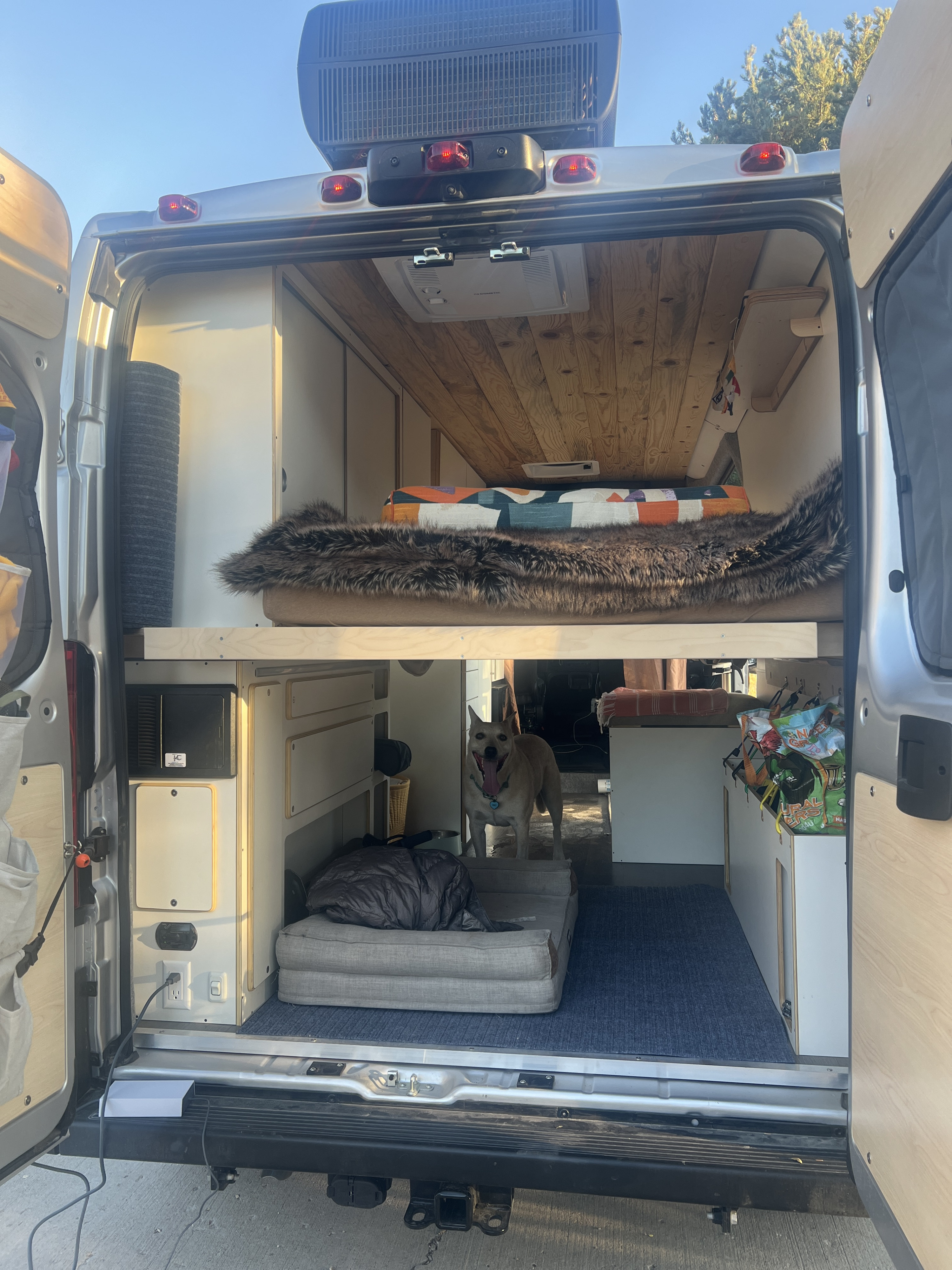 Inside a pet-friendly RV rental camper van: elevated bed, storage, and a happy dog enjoying mobile life.. Dave & Matt Vans Dave & Matt Vans Class B 2024