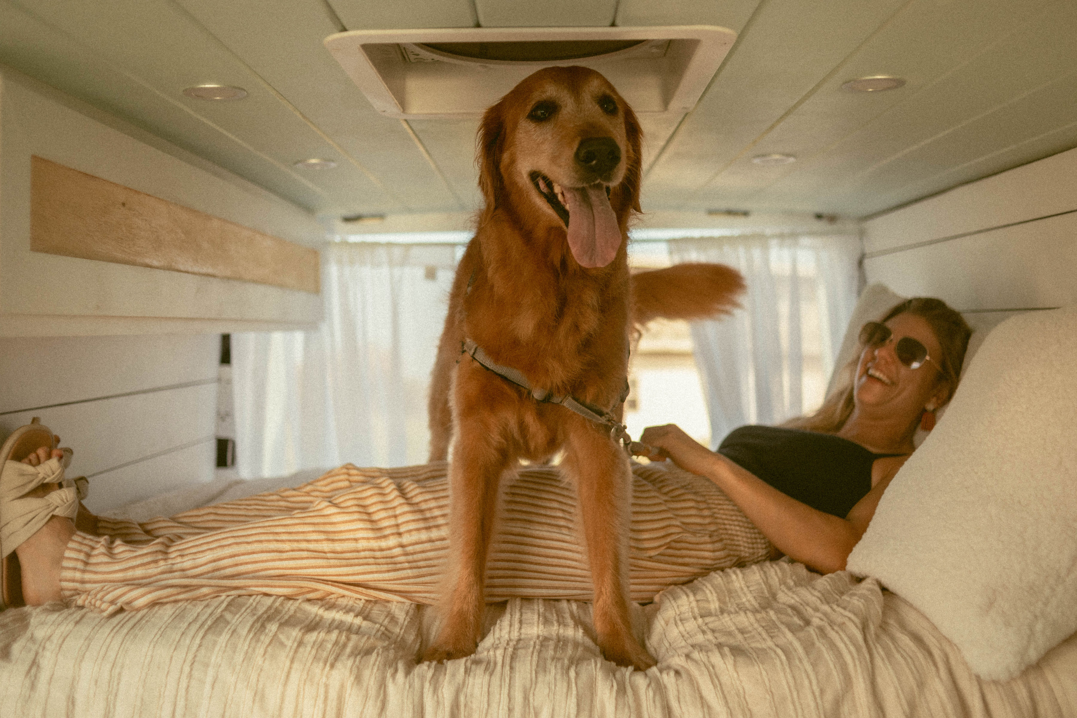 Happy dog & smiling woman relax on a cozy bed in an RV rental, enjoying pet-friendly travel.. Dodge Sprinter Van 2008