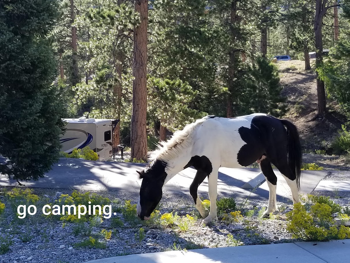 Class C RV Rental 