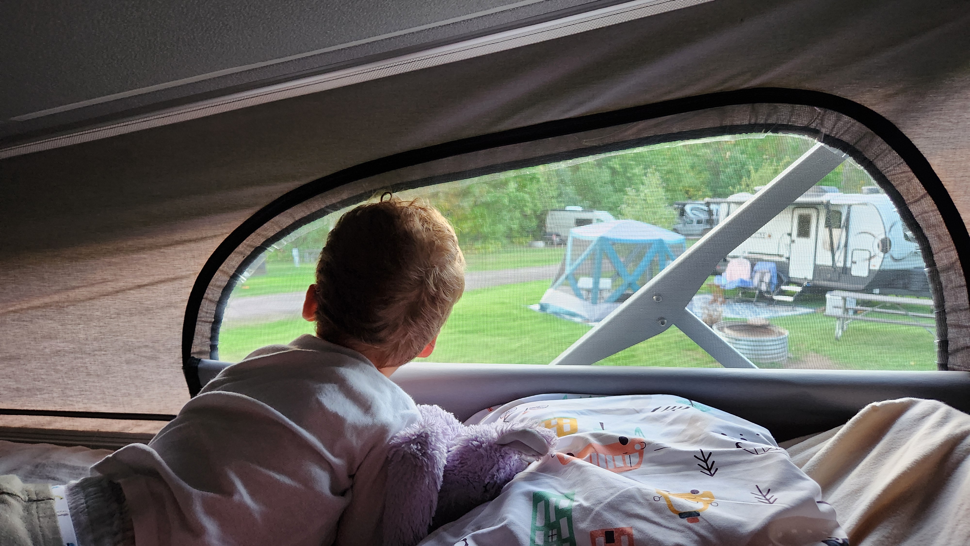 Cozy morning view from an RV rental. Child watching fellow campers through the screen window. Perfect for families!. Airstream Rangeline 2024