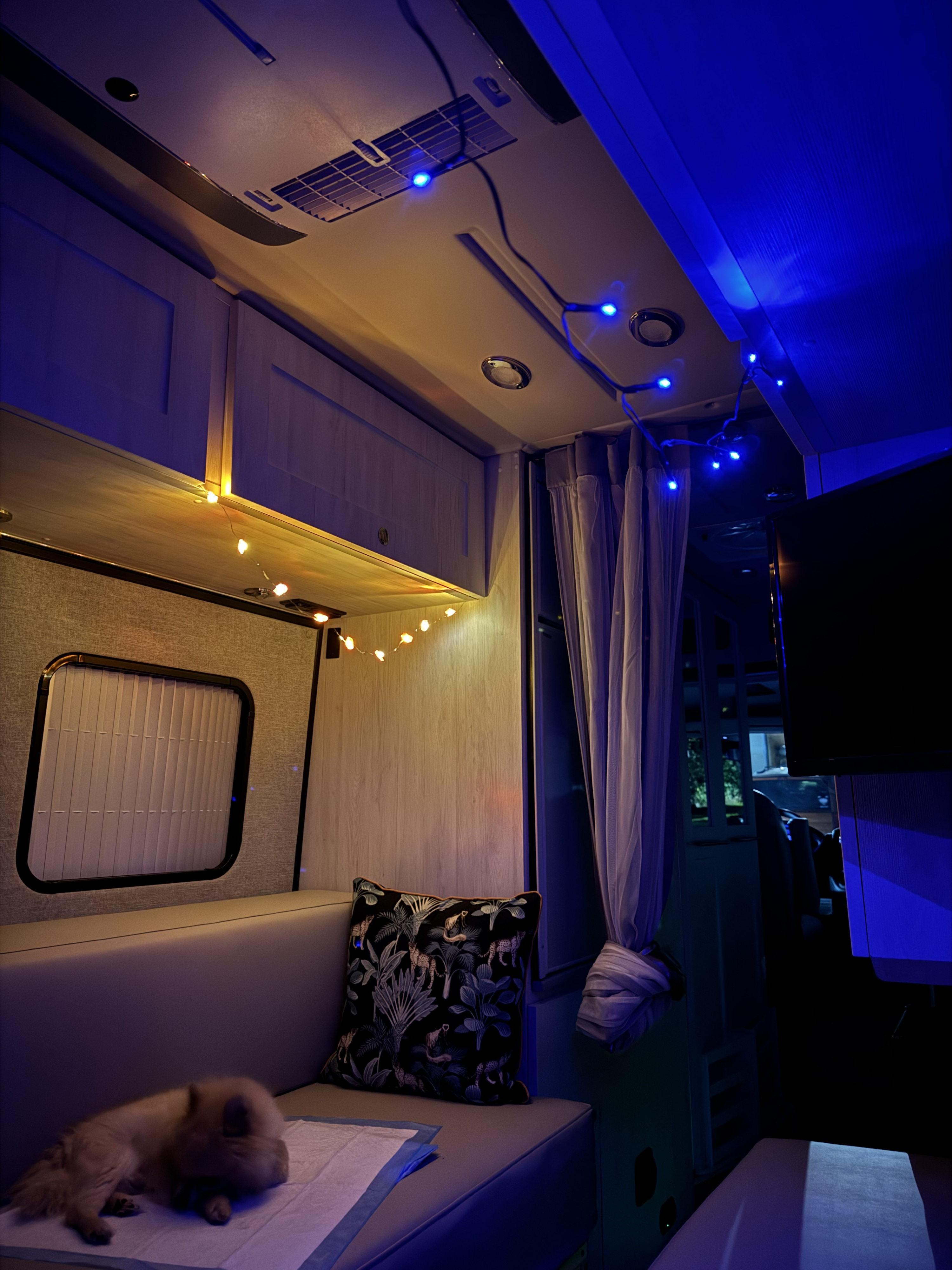 Cozy rv rental interior featuring ambient string lights, a sleeping dog on plush seating, and travel-ready amenities.. Roadtrek Roadtrek Class B 2024
