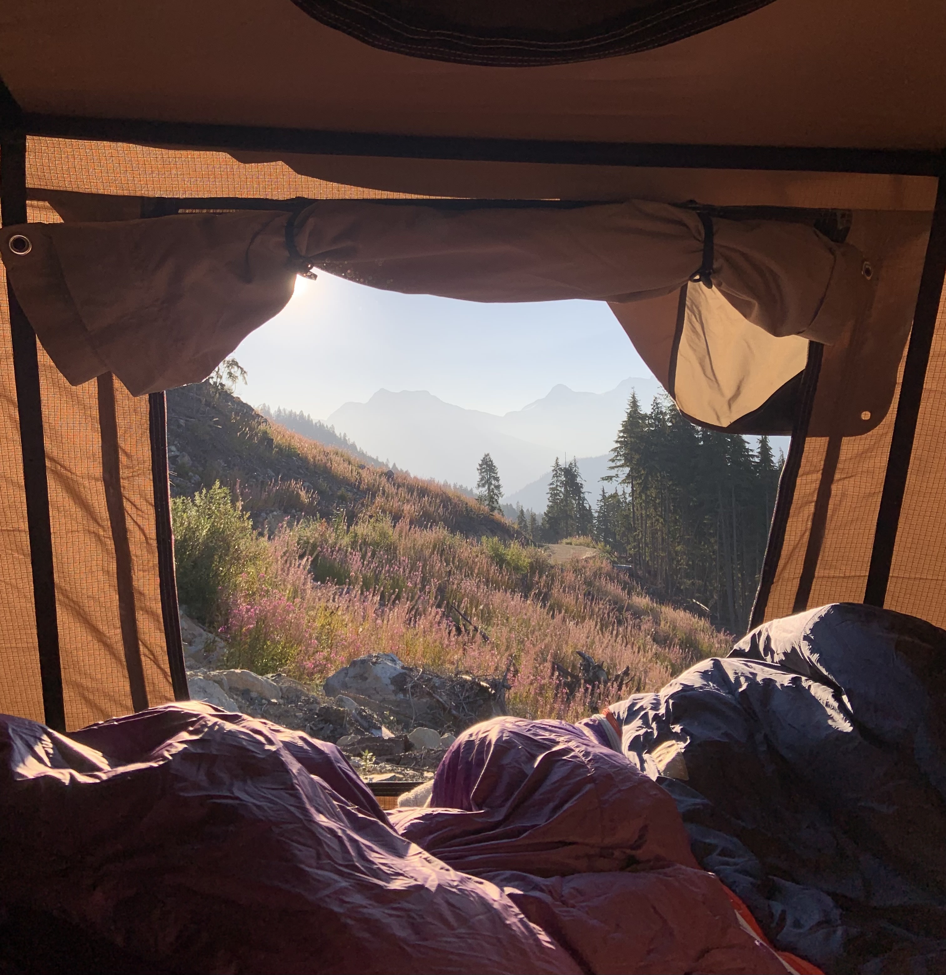 Cozy view from an RV rental rooftop tent. Sunrise over mountains, illuminating purple wildflowers. Nature's beauty, camping adventure.. Frontier frontier 2006