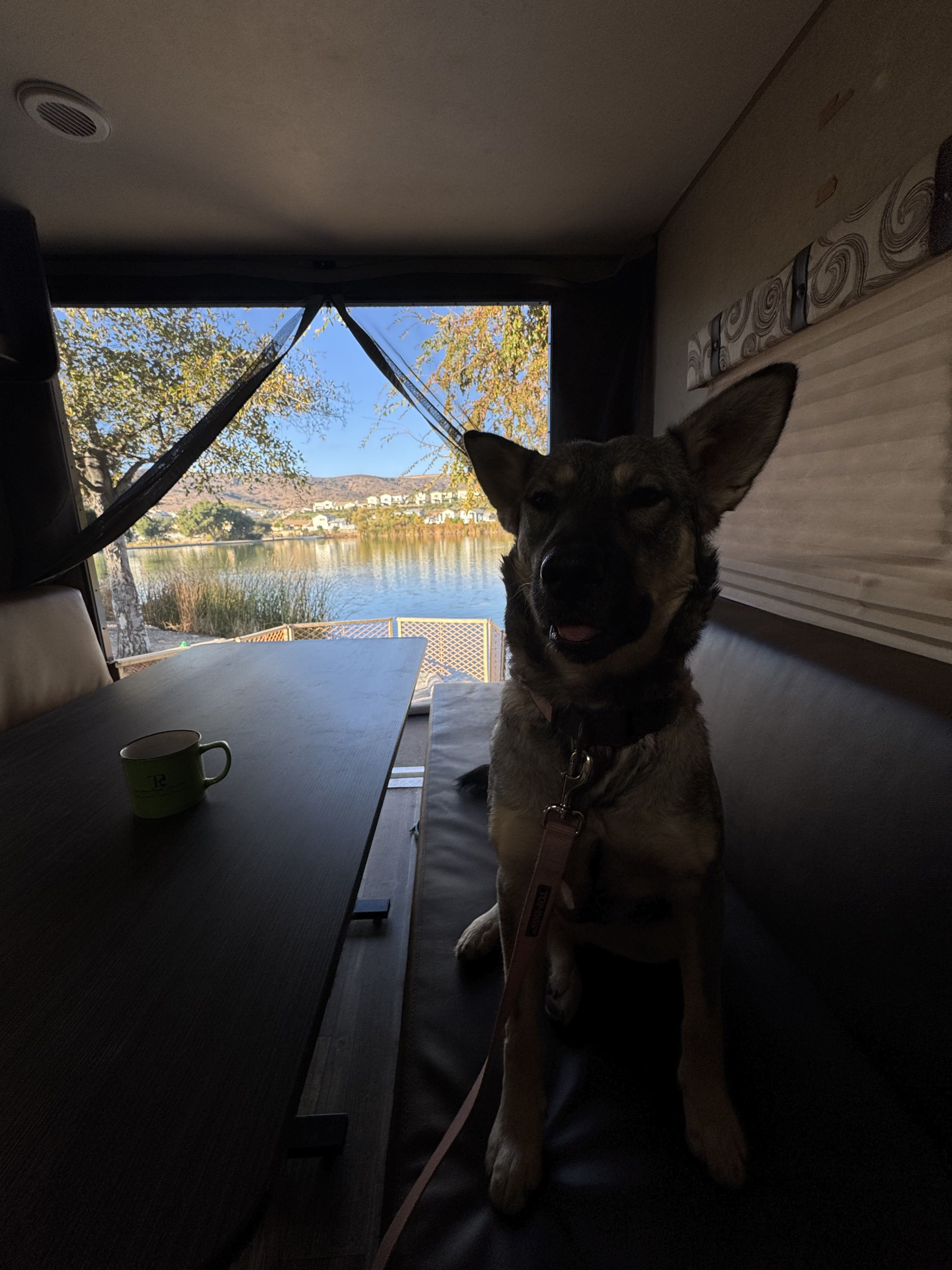 Owner Banner